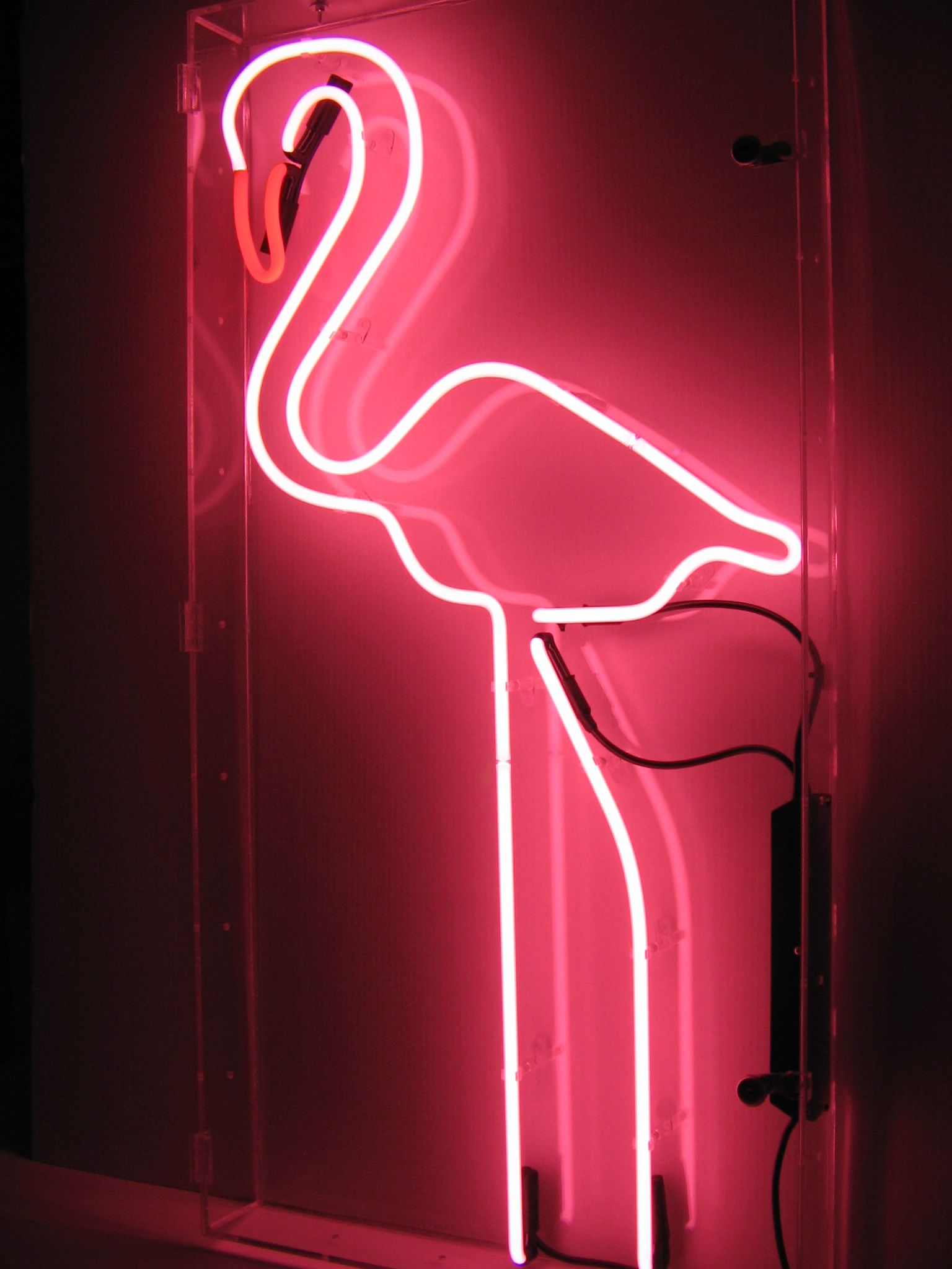 Neon Pink Flamingo Wallpapers