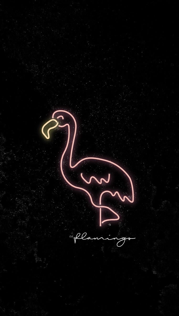 Neon Pink Flamingo Wallpapers