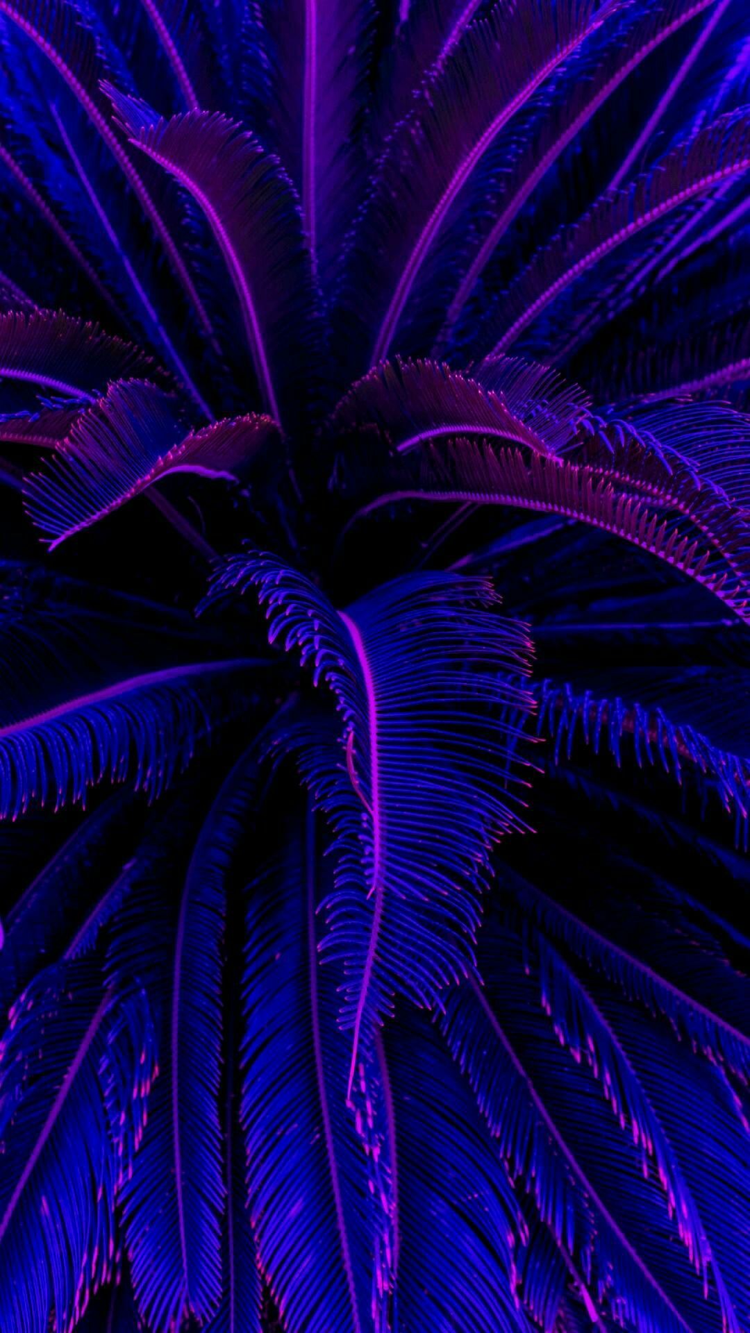 Neon Purple Iphone Wallpapers