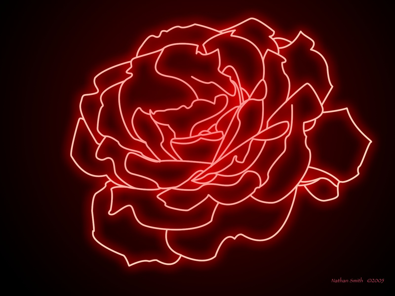 Neon Rose Wallpapers