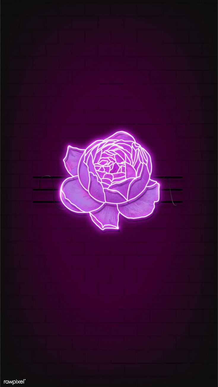 Neon Rose Wallpapers