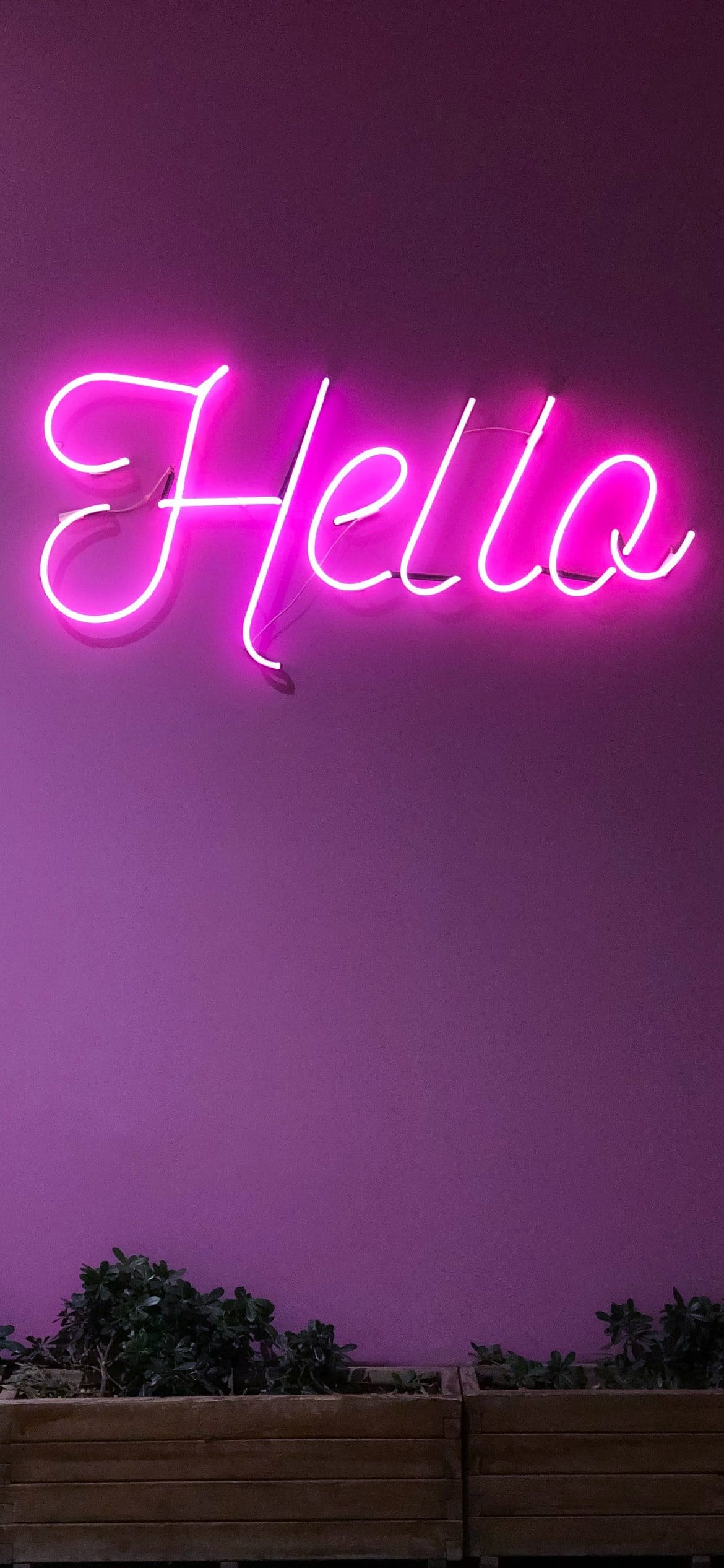 Neon Sign Aesthetic Wallpapers