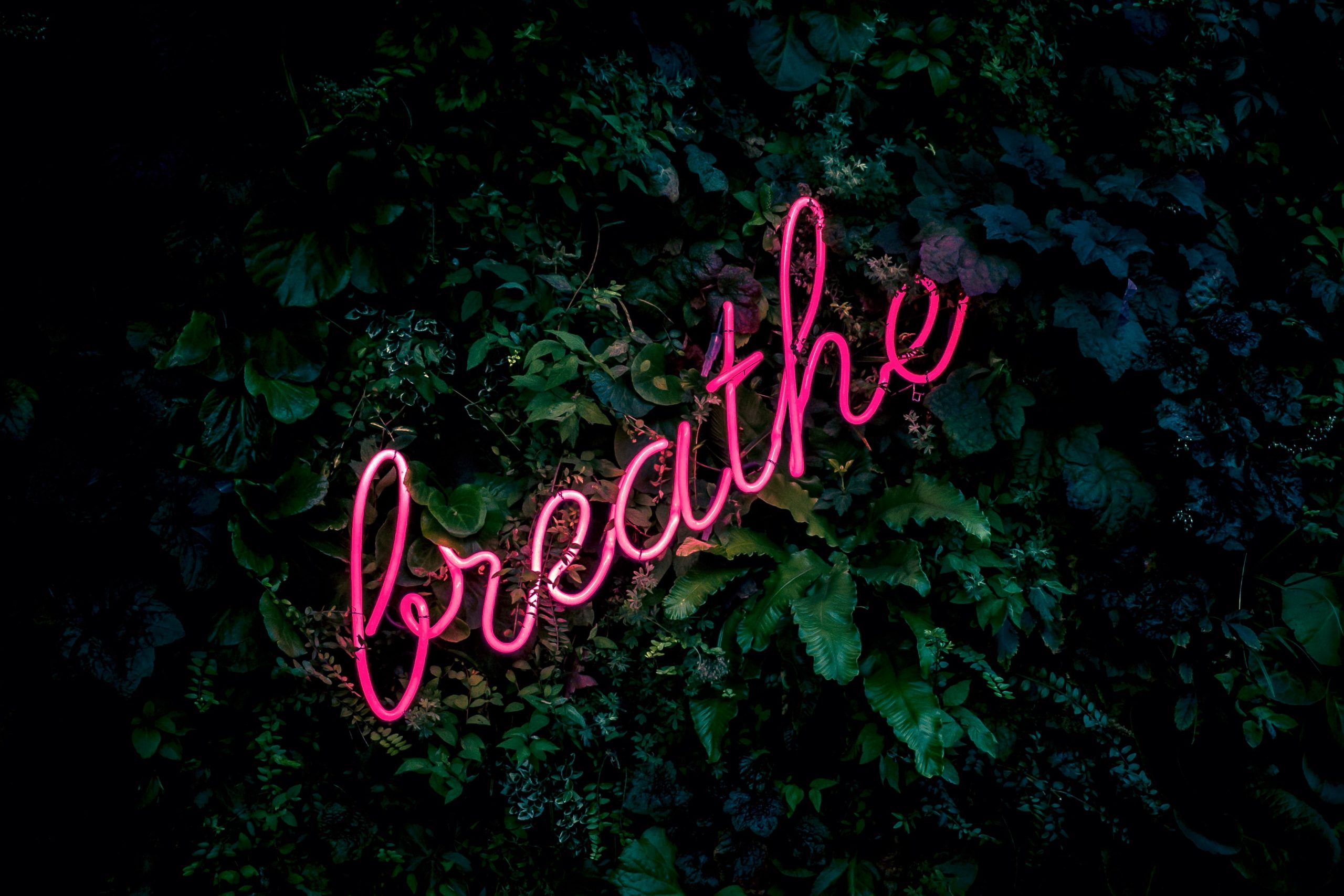 Neon Signs Aesthetic Wallpapers