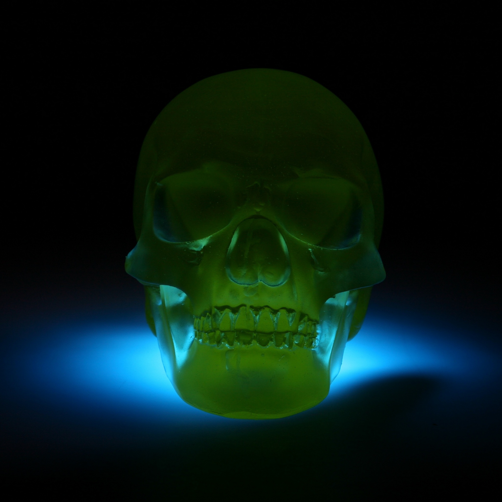 Neon Skull Wallpapers