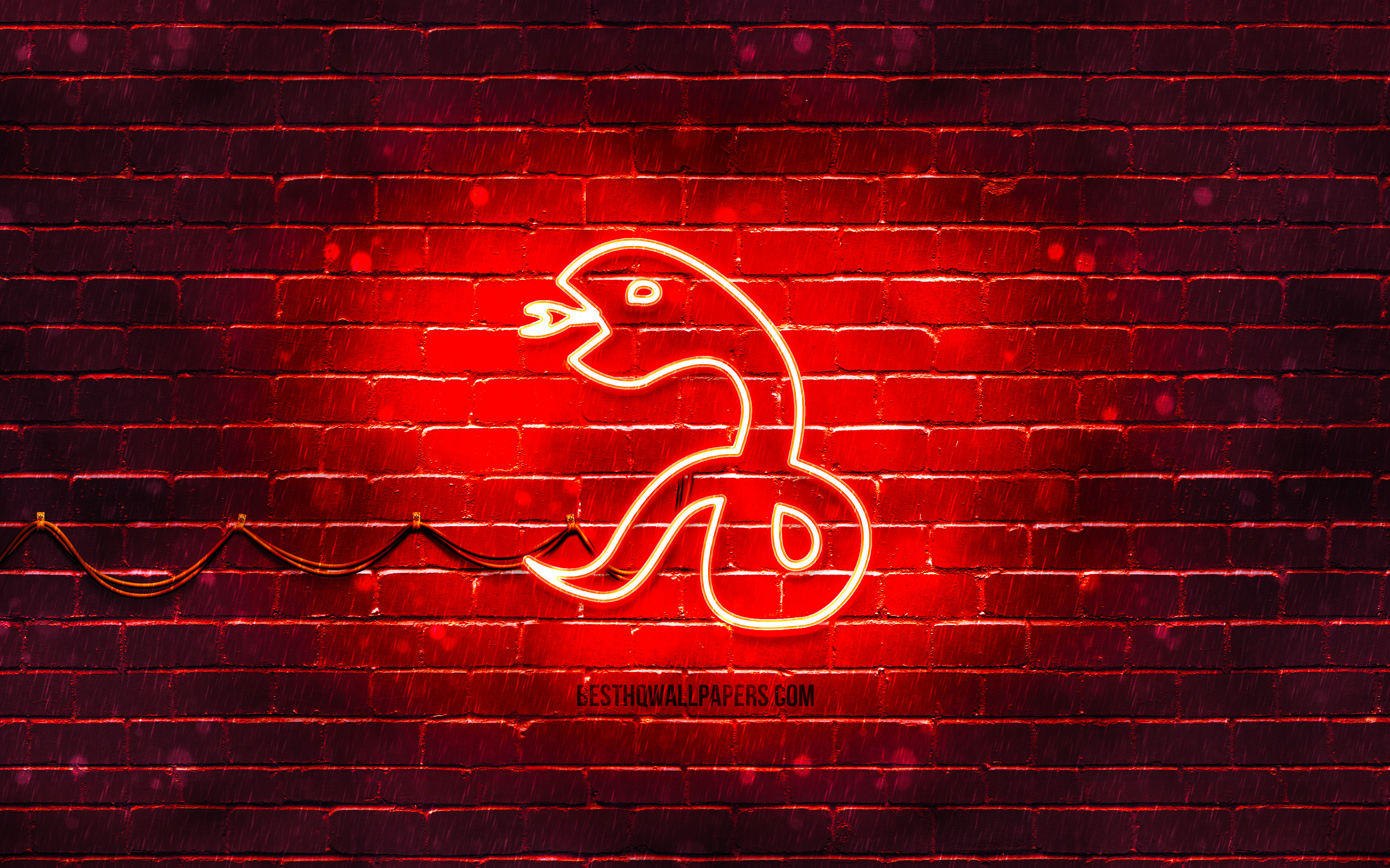 Neon Snake Wallpapers