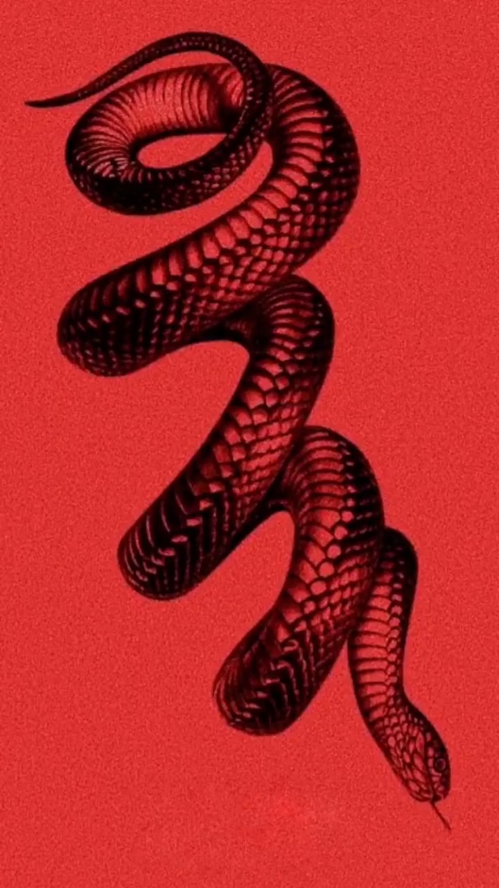 Neon Snake Wallpapers