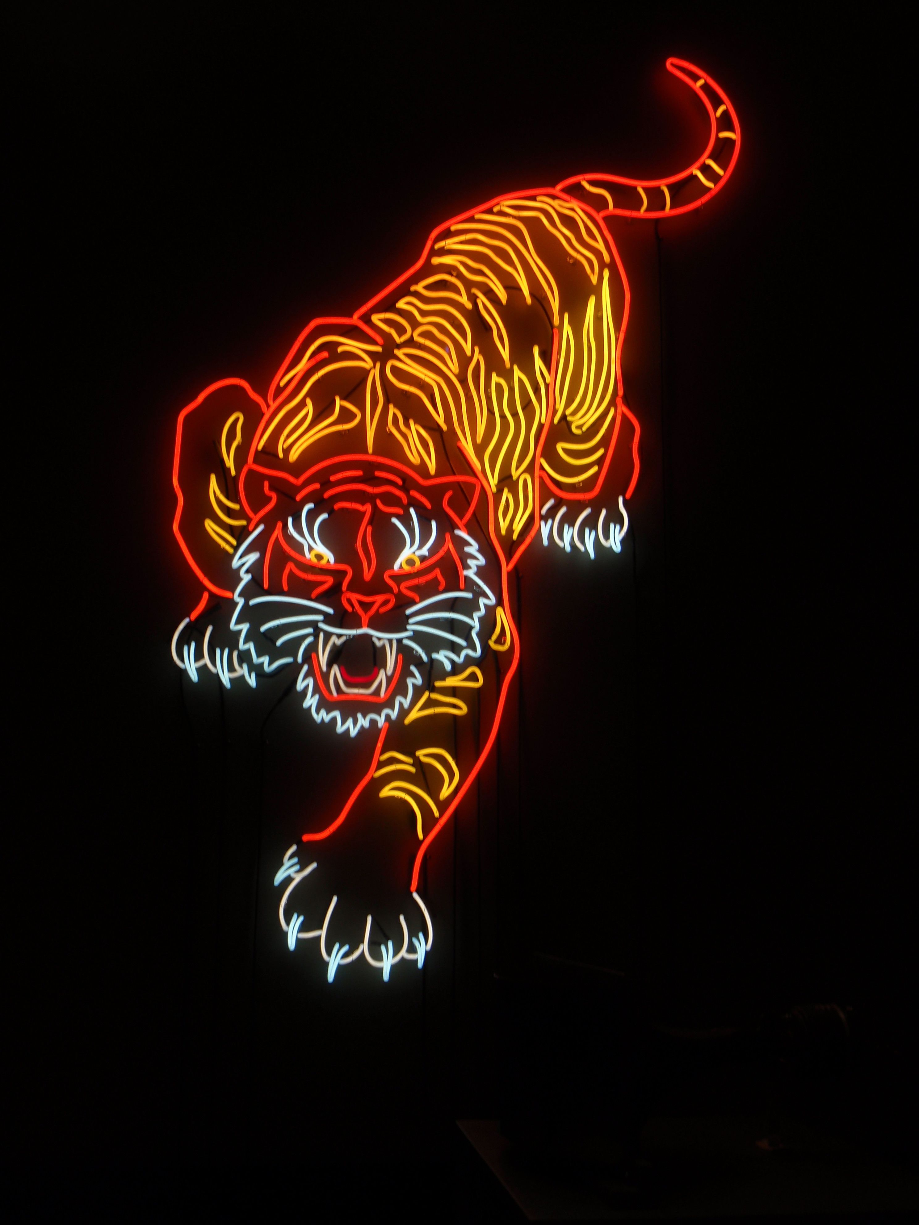 Neon Tiger Wallpapers