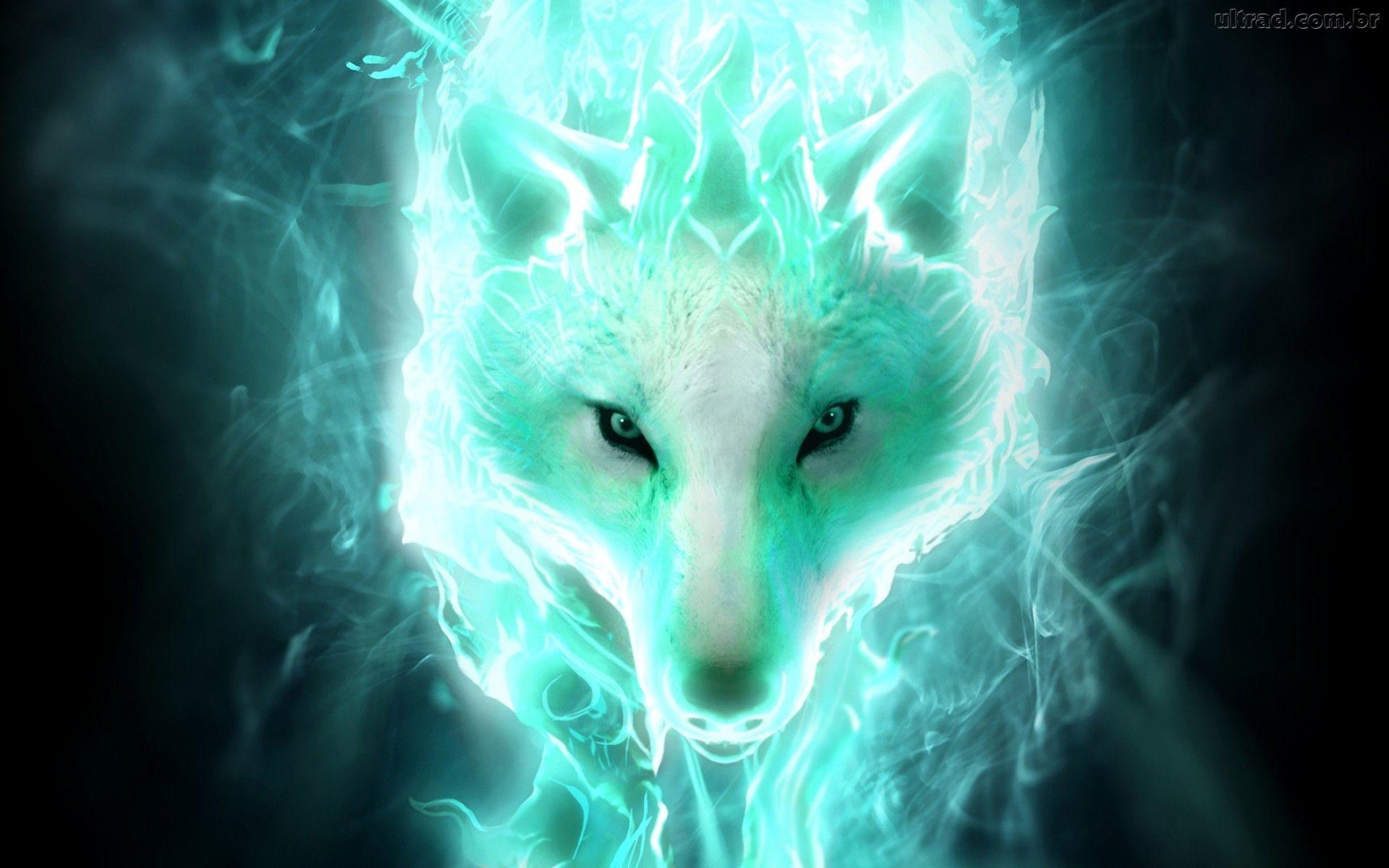 Neon Wolf Wallpapers