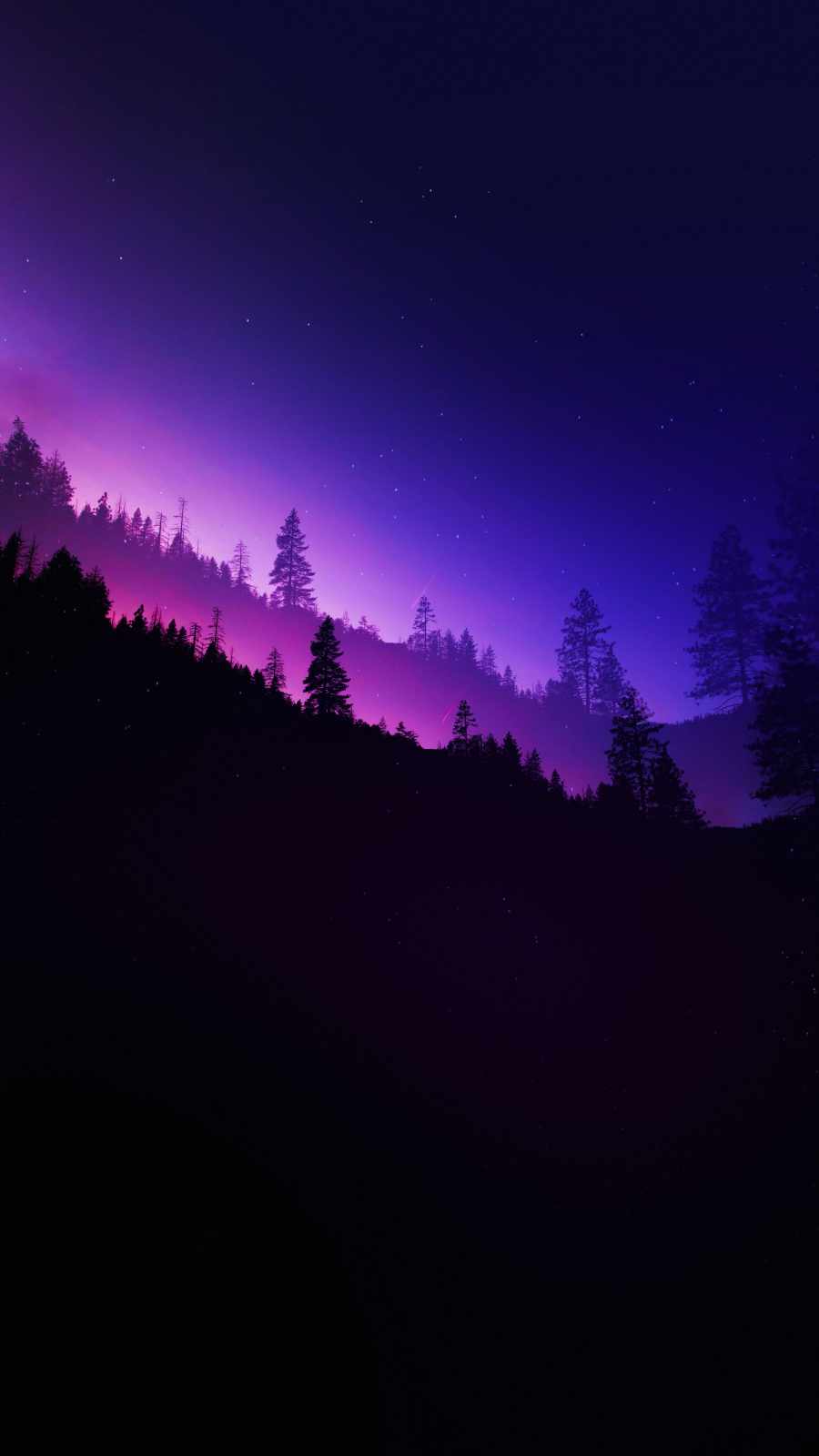 Night Forest Wallpapers