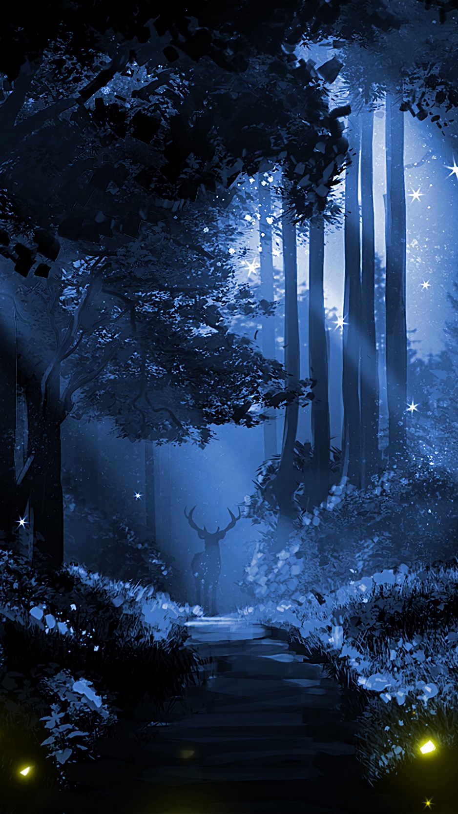 Night Forest Wallpapers