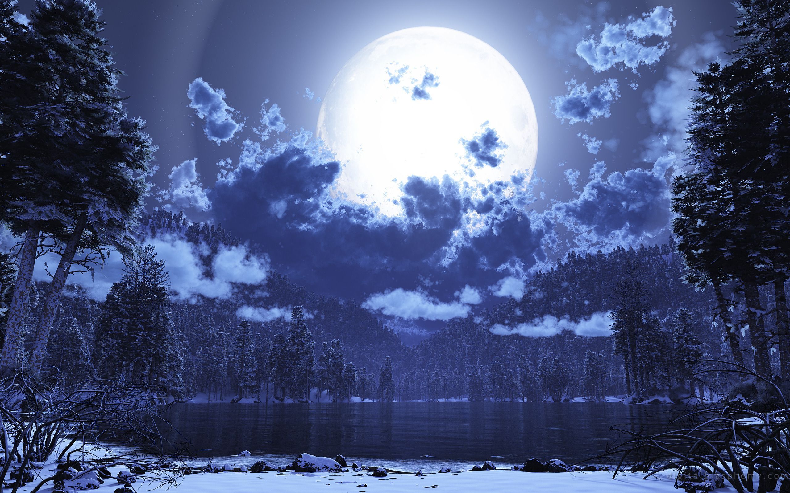 Night Moon Wallpapers