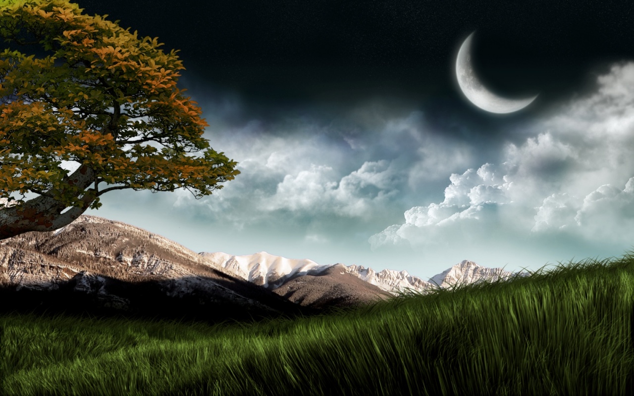 Night Nature Wallpapers