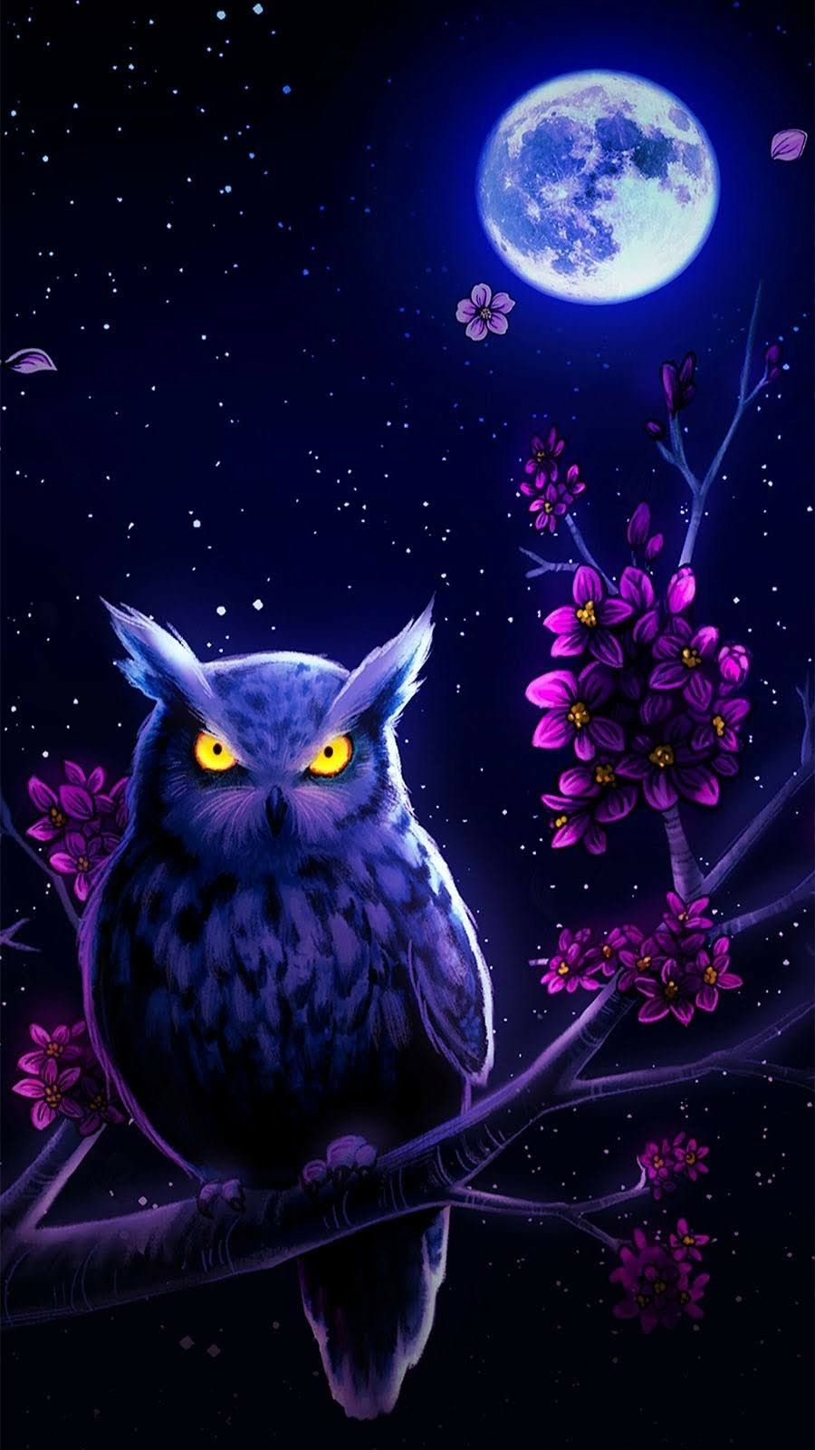 Night Owl Wallpapers