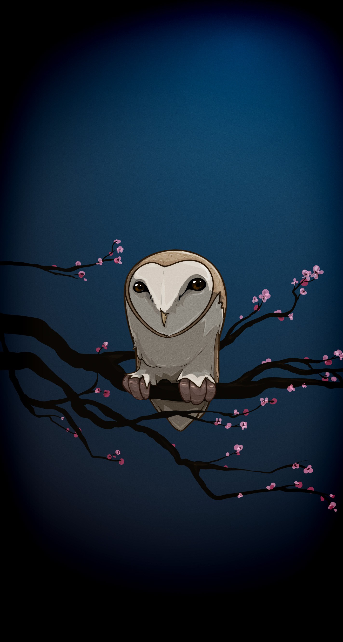 Night Owl Wallpapers