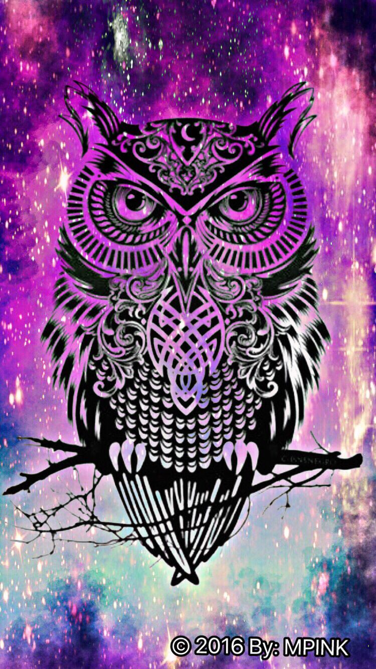 Night Owl Wallpapers