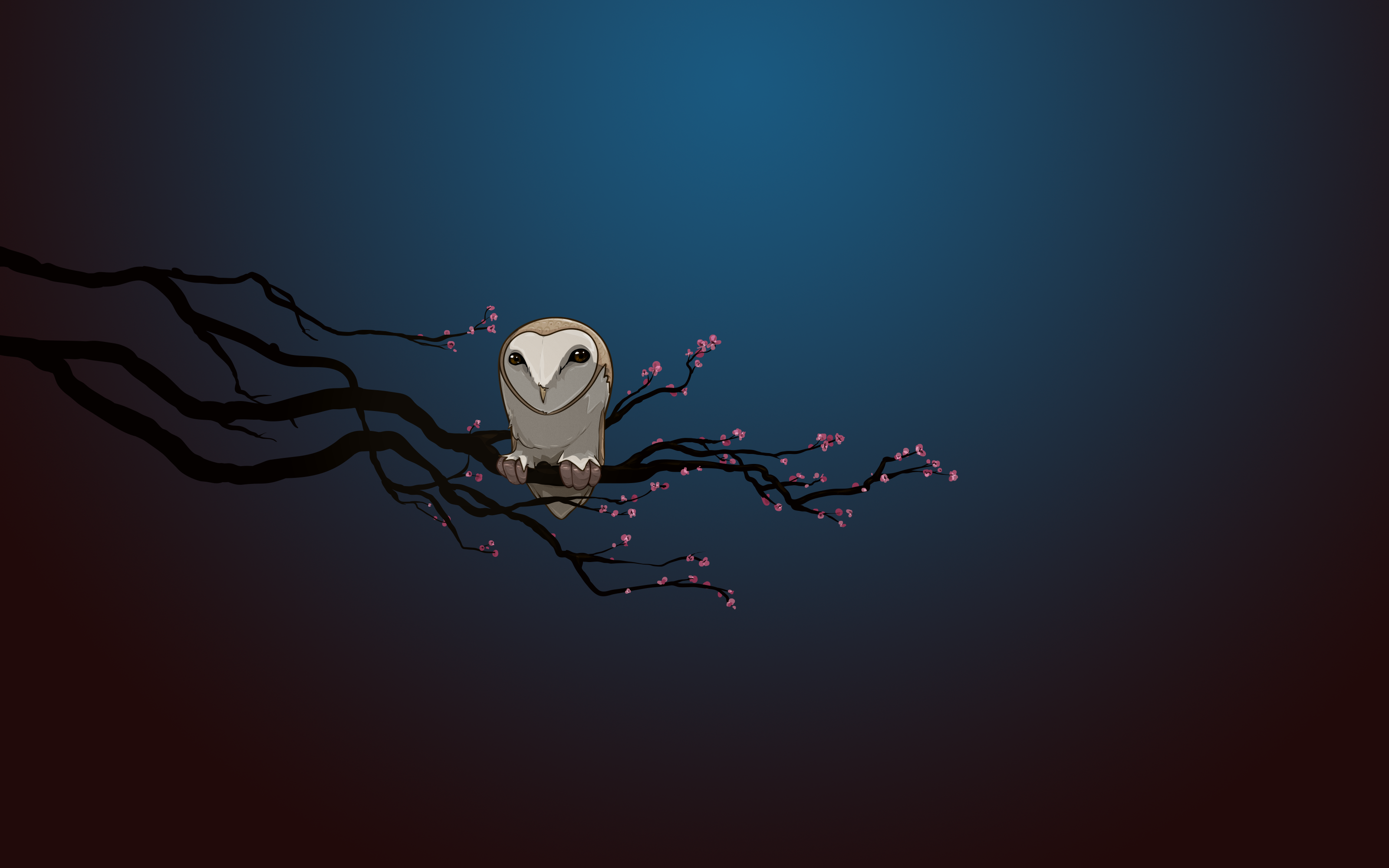 Night Owl Cartoon Wallpapers