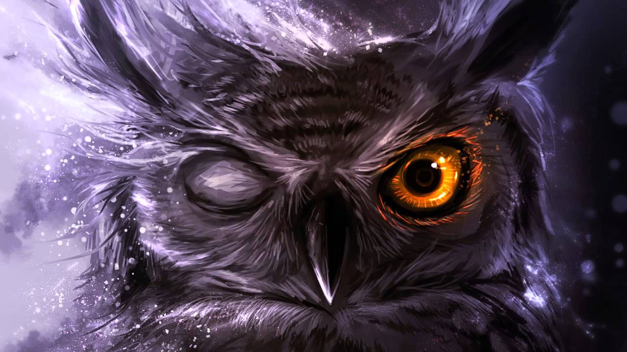 Night Owl Cartoon Wallpapers