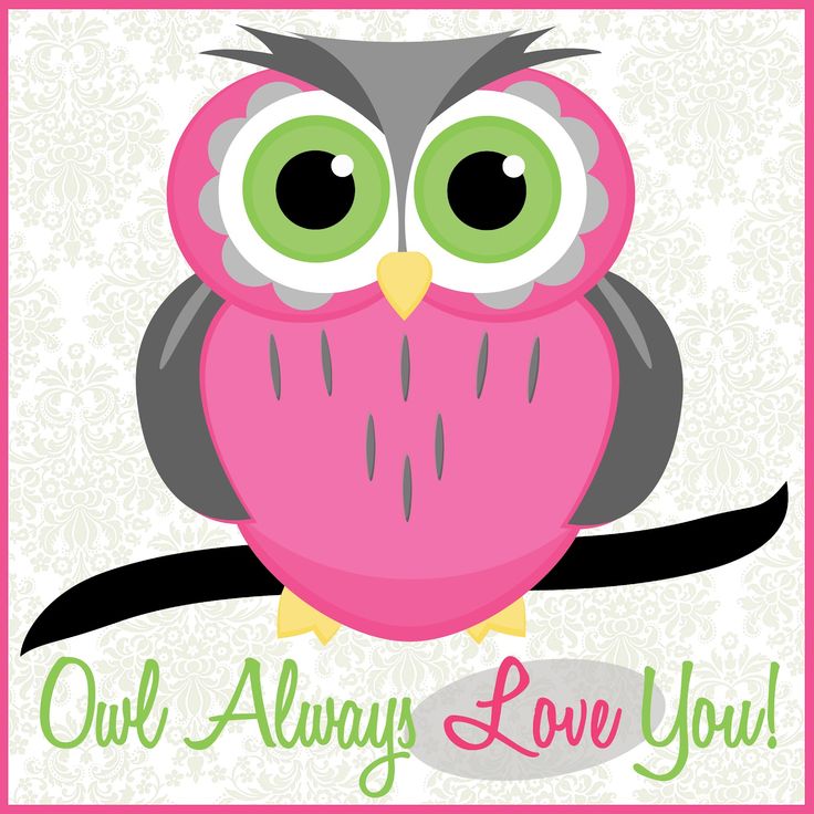 Night Owl Cartoon Wallpapers