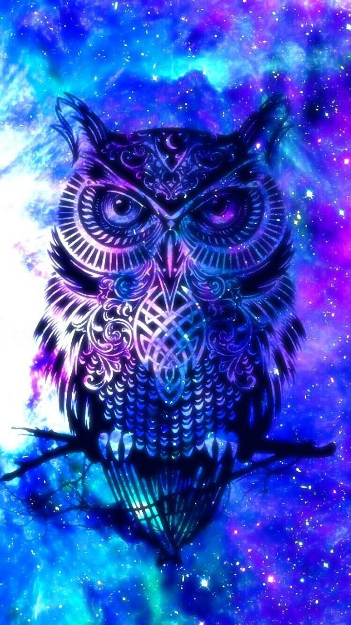 Night Owl Cartoon Wallpapers