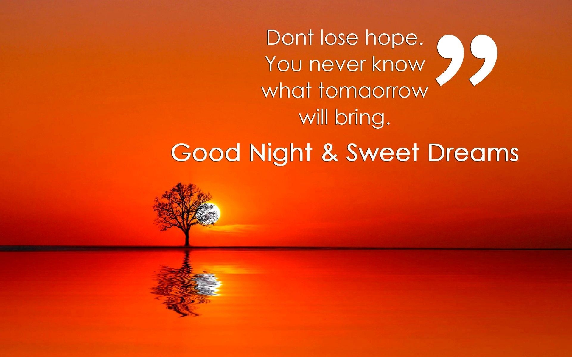 Night Quotes Wallpapers