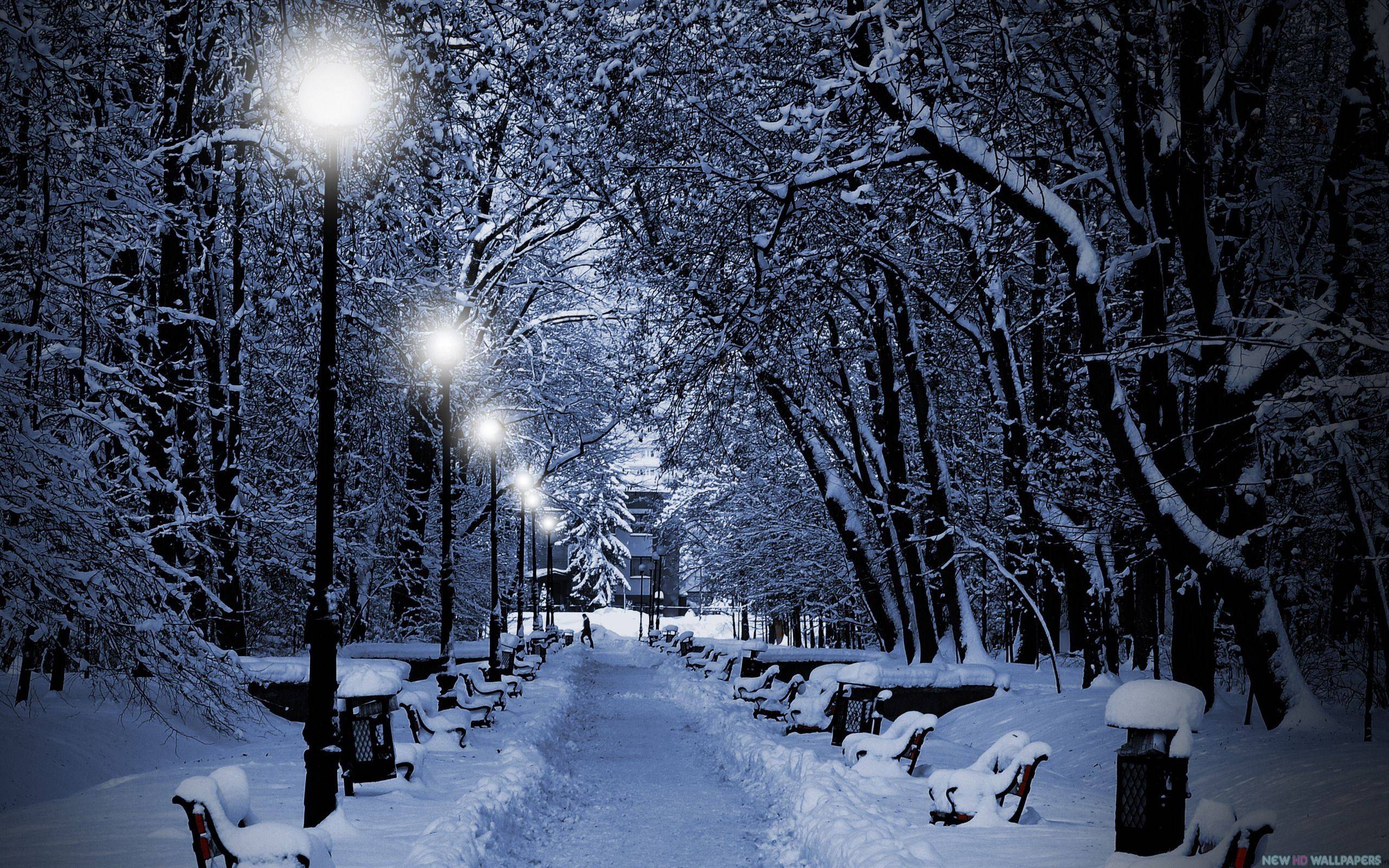 Night Snow Wallpapers