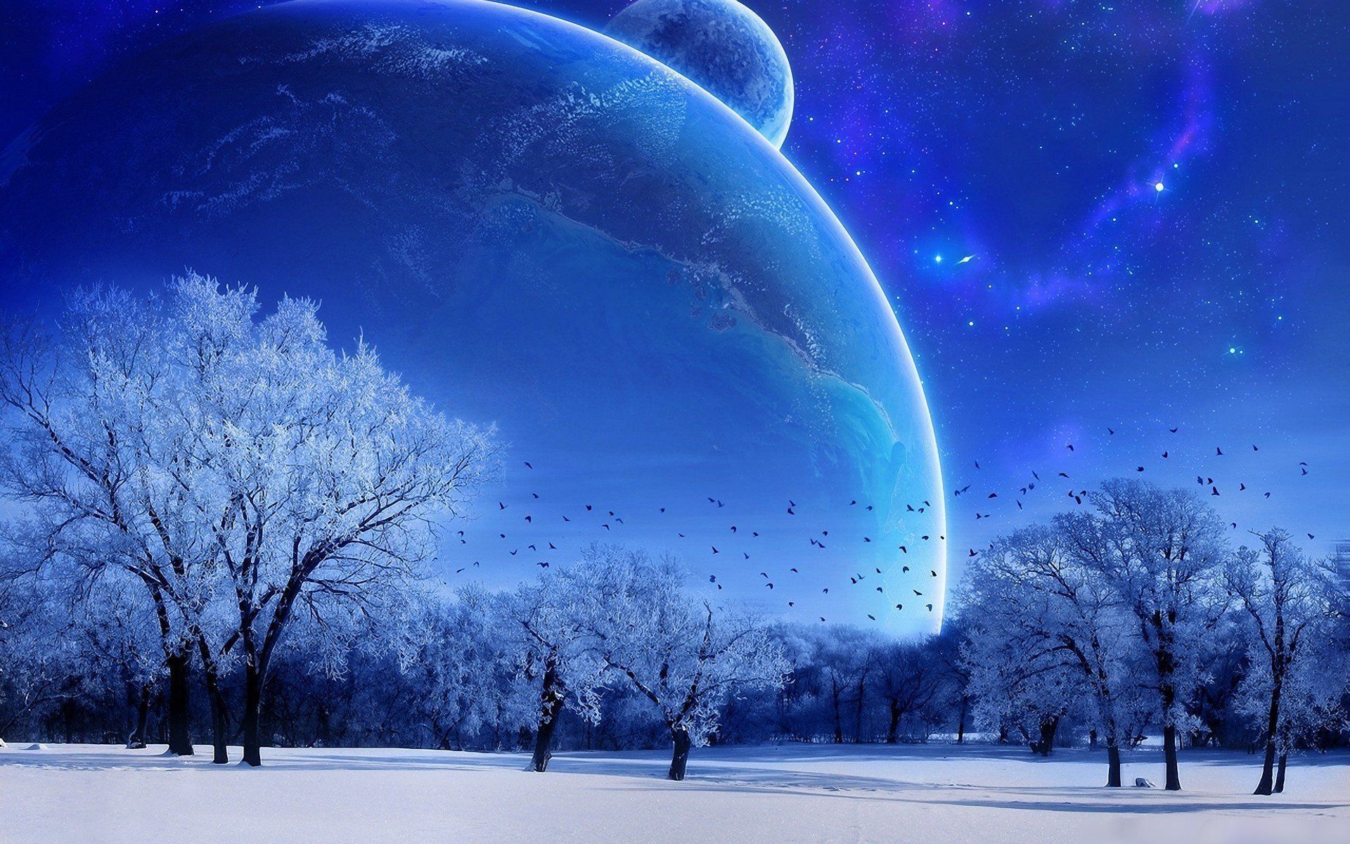 Night Snow Wallpapers