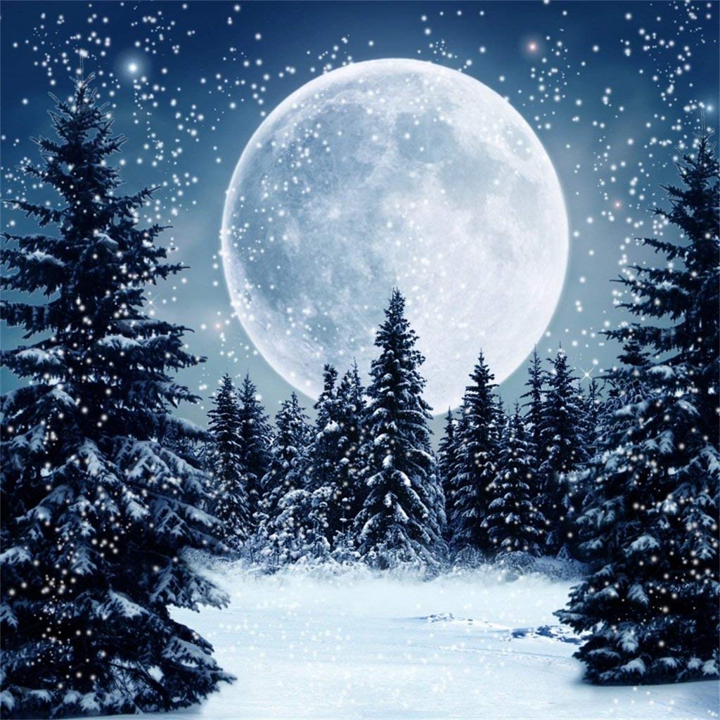 Night Snow Wallpapers