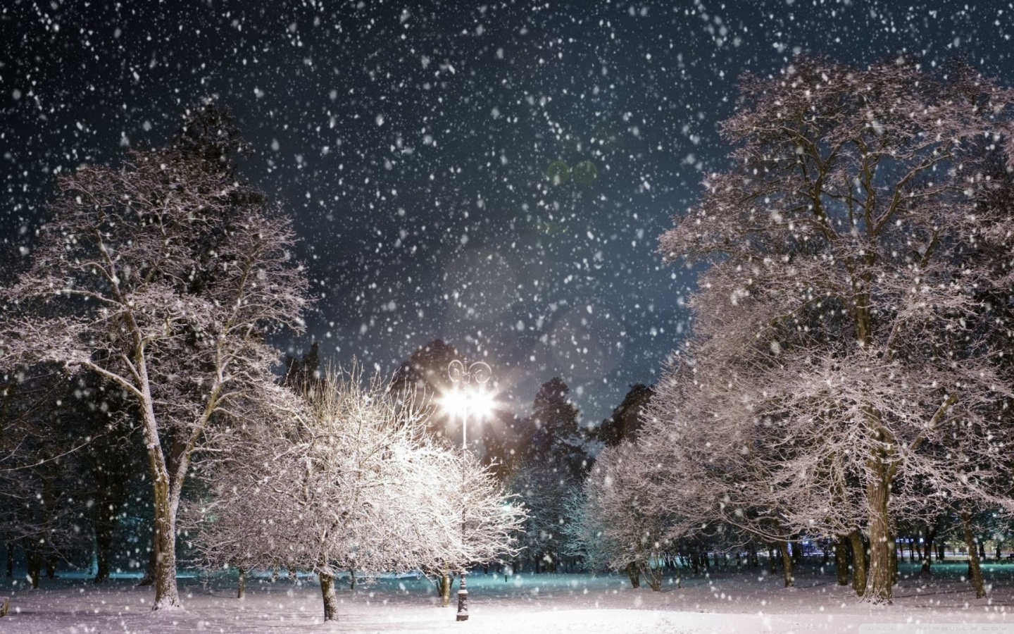 Night Snow Wallpapers