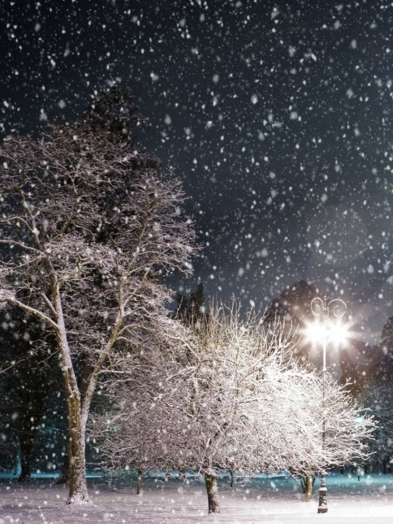 Night Snow Wallpapers