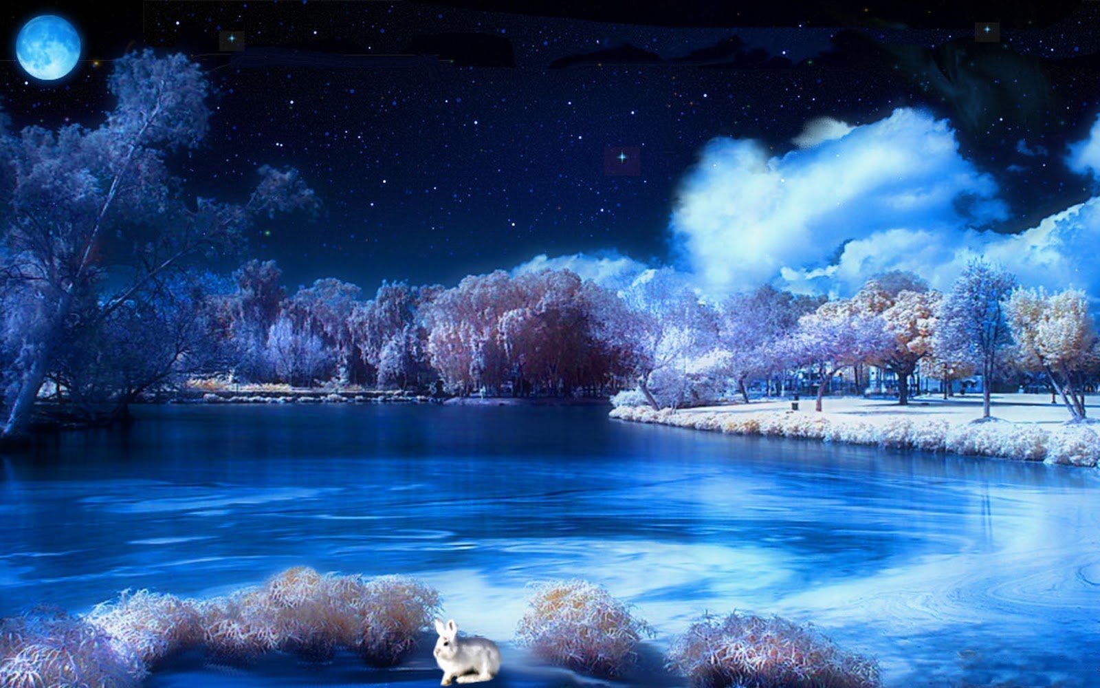 Night Snow Wallpapers