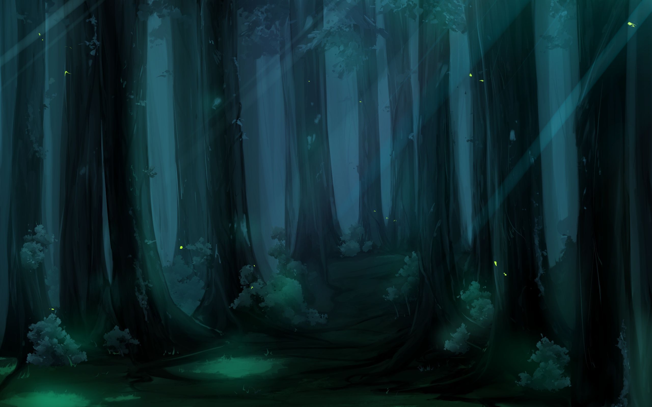 Night Time Forest Wallpapers