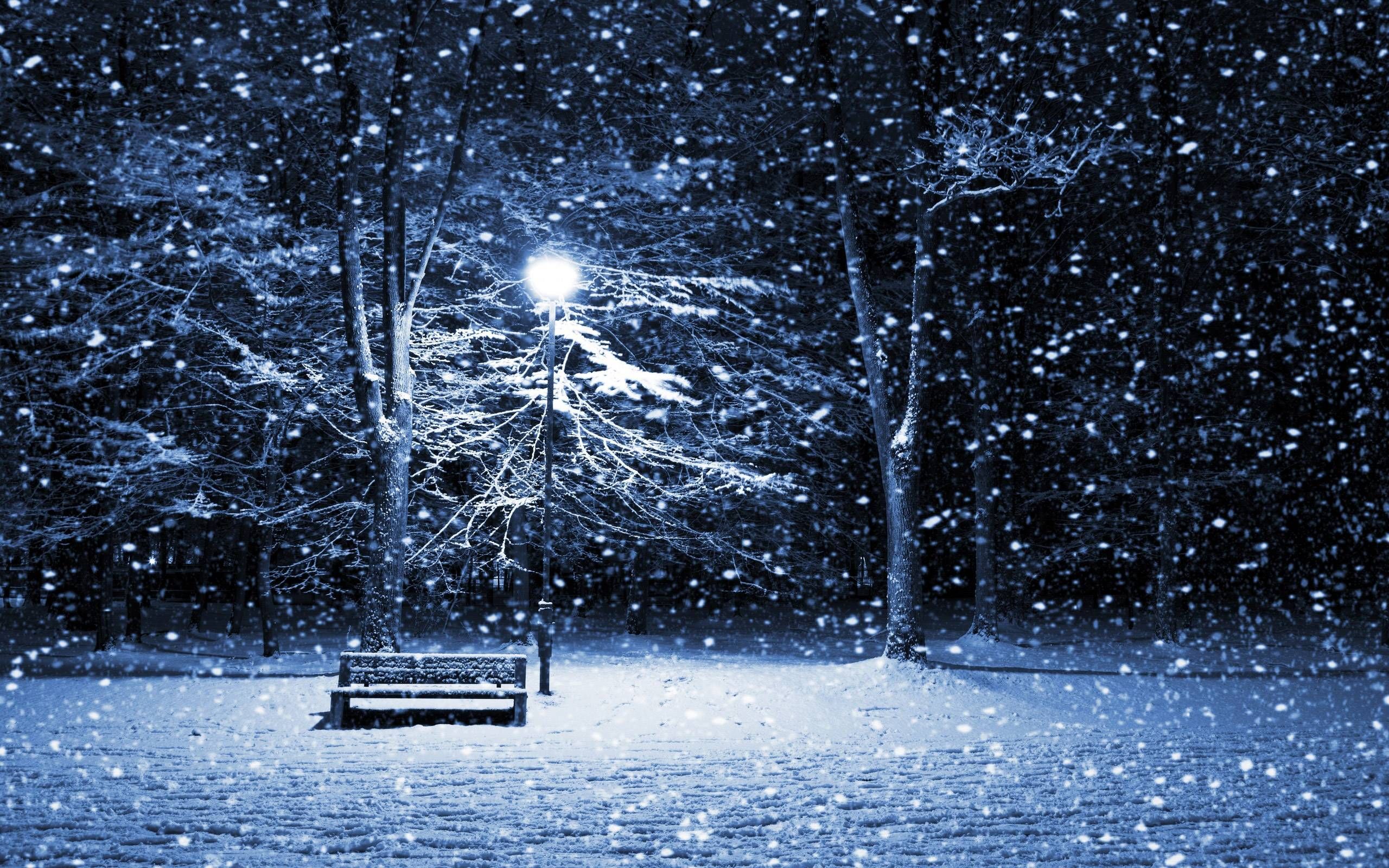 Night Winter Landscape Wallpapers