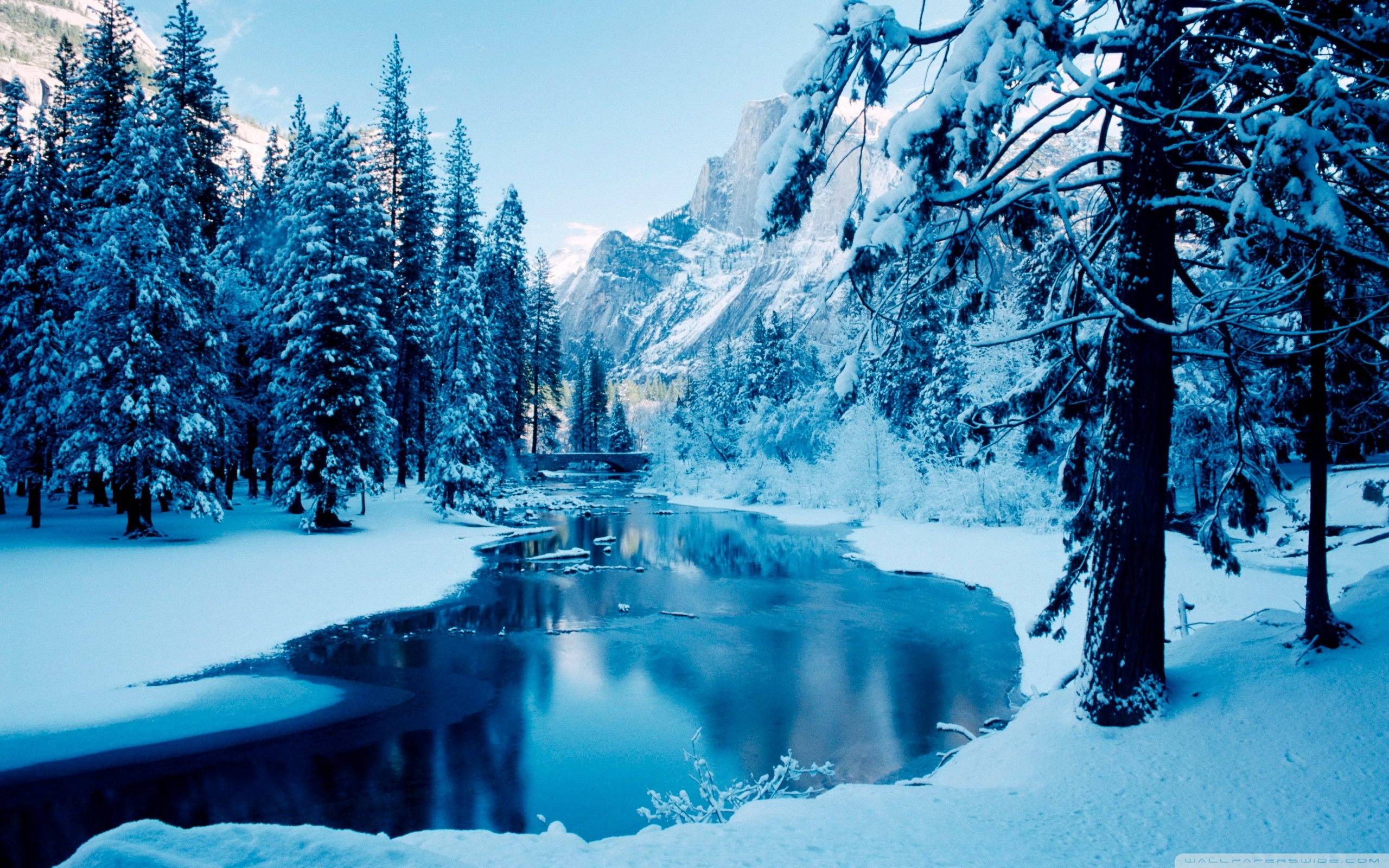 Night Winter Landscape Wallpapers