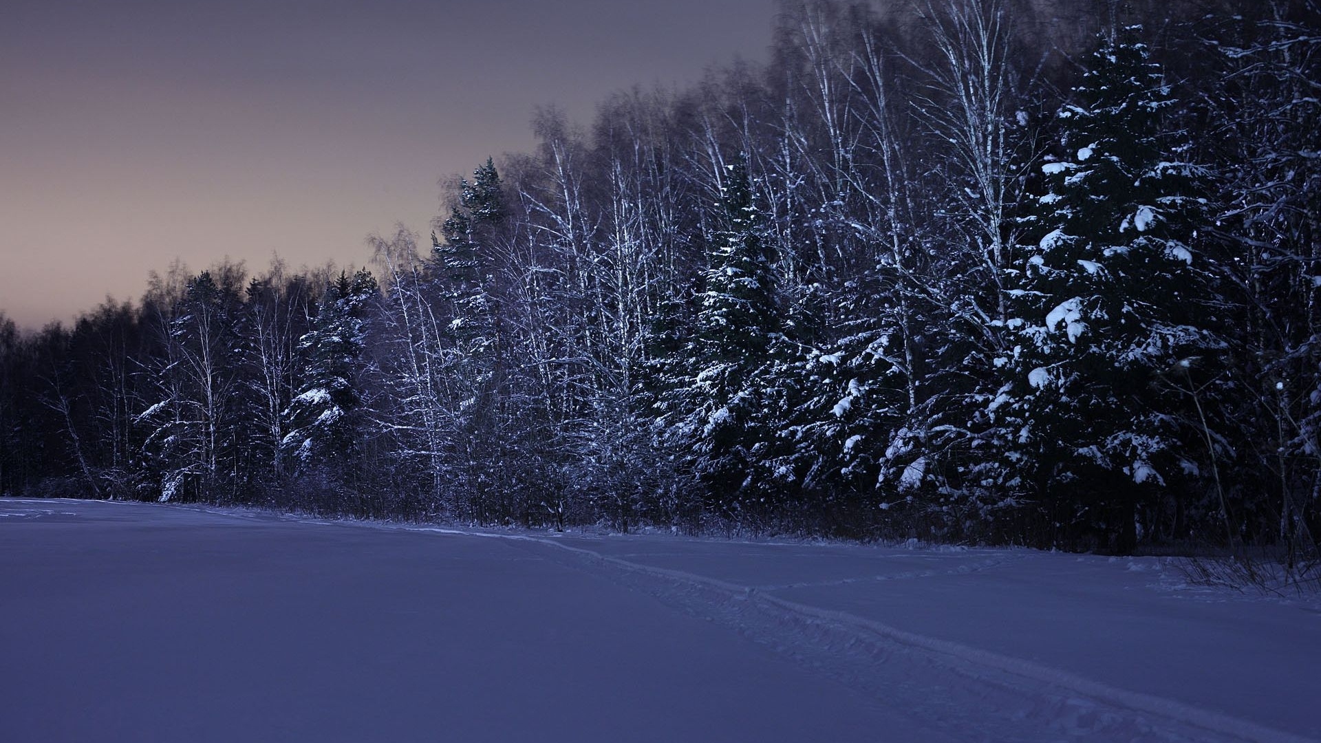 Night Winter Landscape Wallpapers