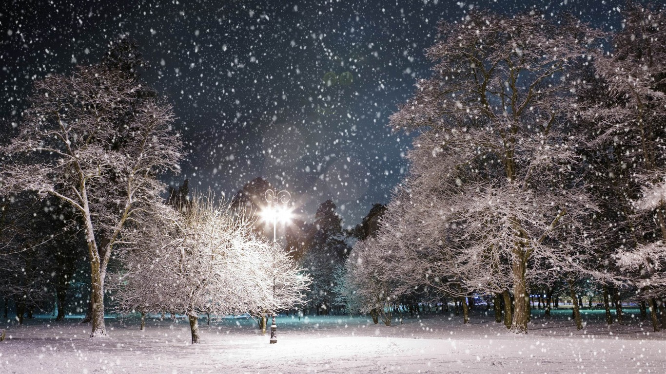 Night Winter Landscape Wallpapers