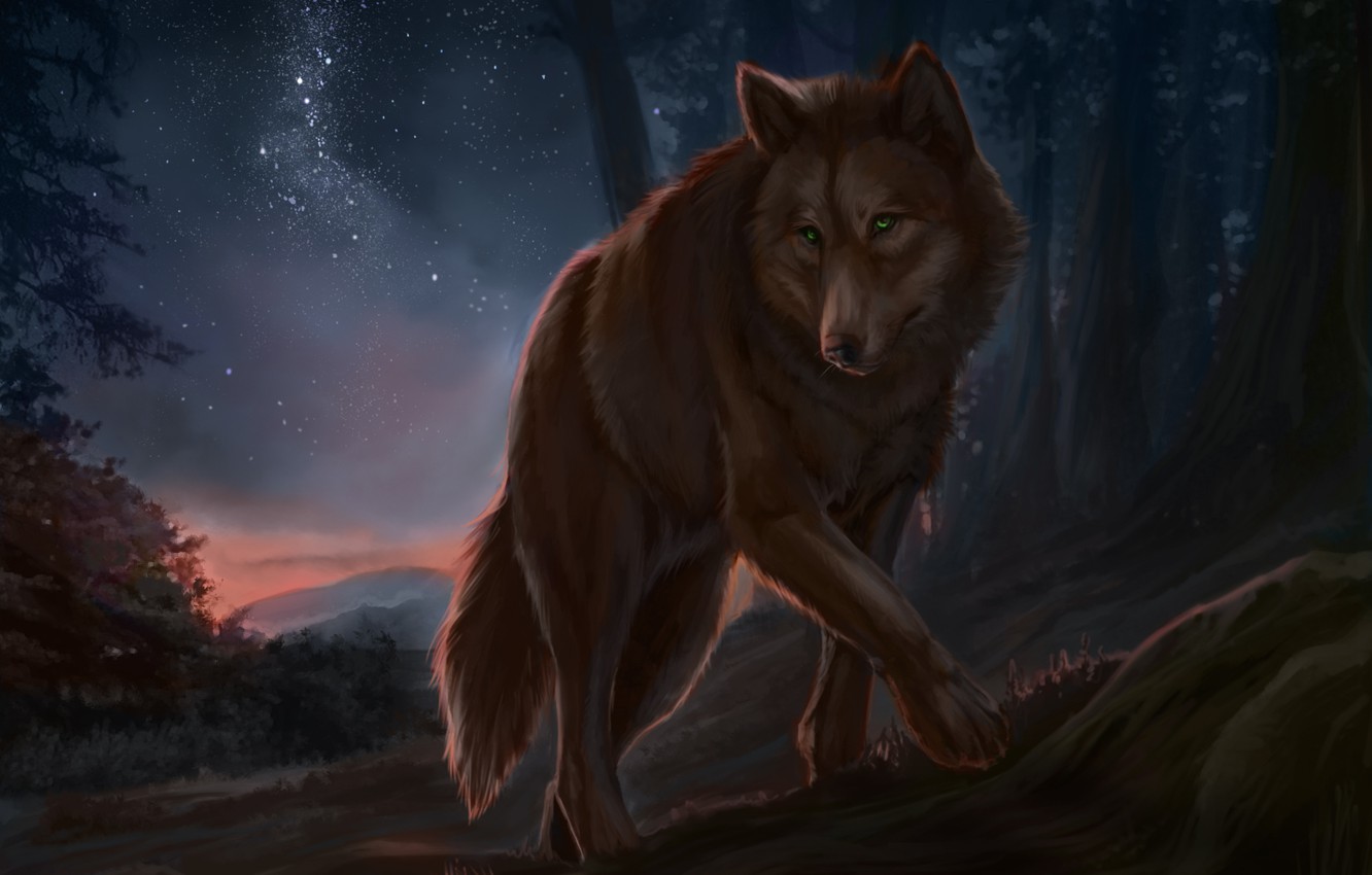 Night Wolf Wallpapers