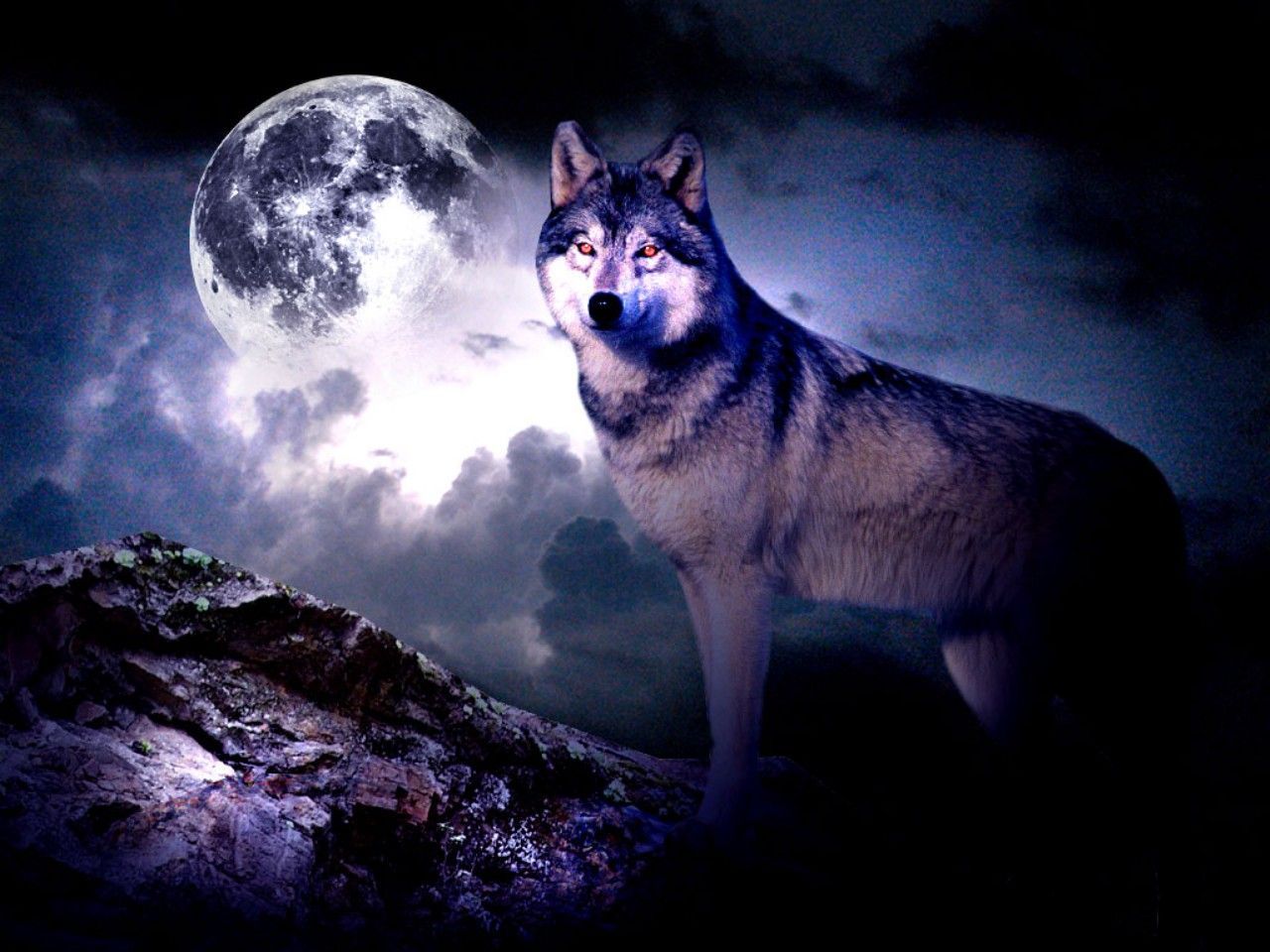 Night Wolf Wallpapers