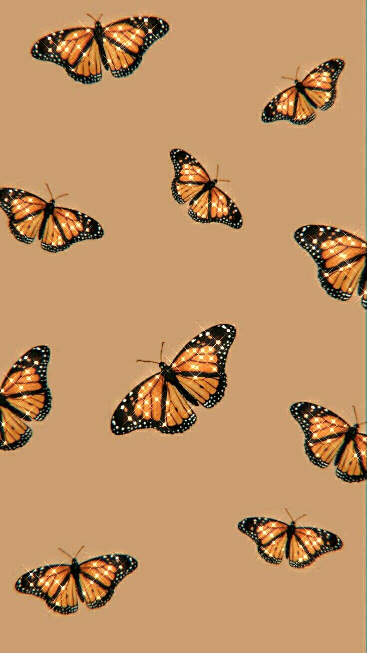 Orange Butterfly Iphone Wallpapers