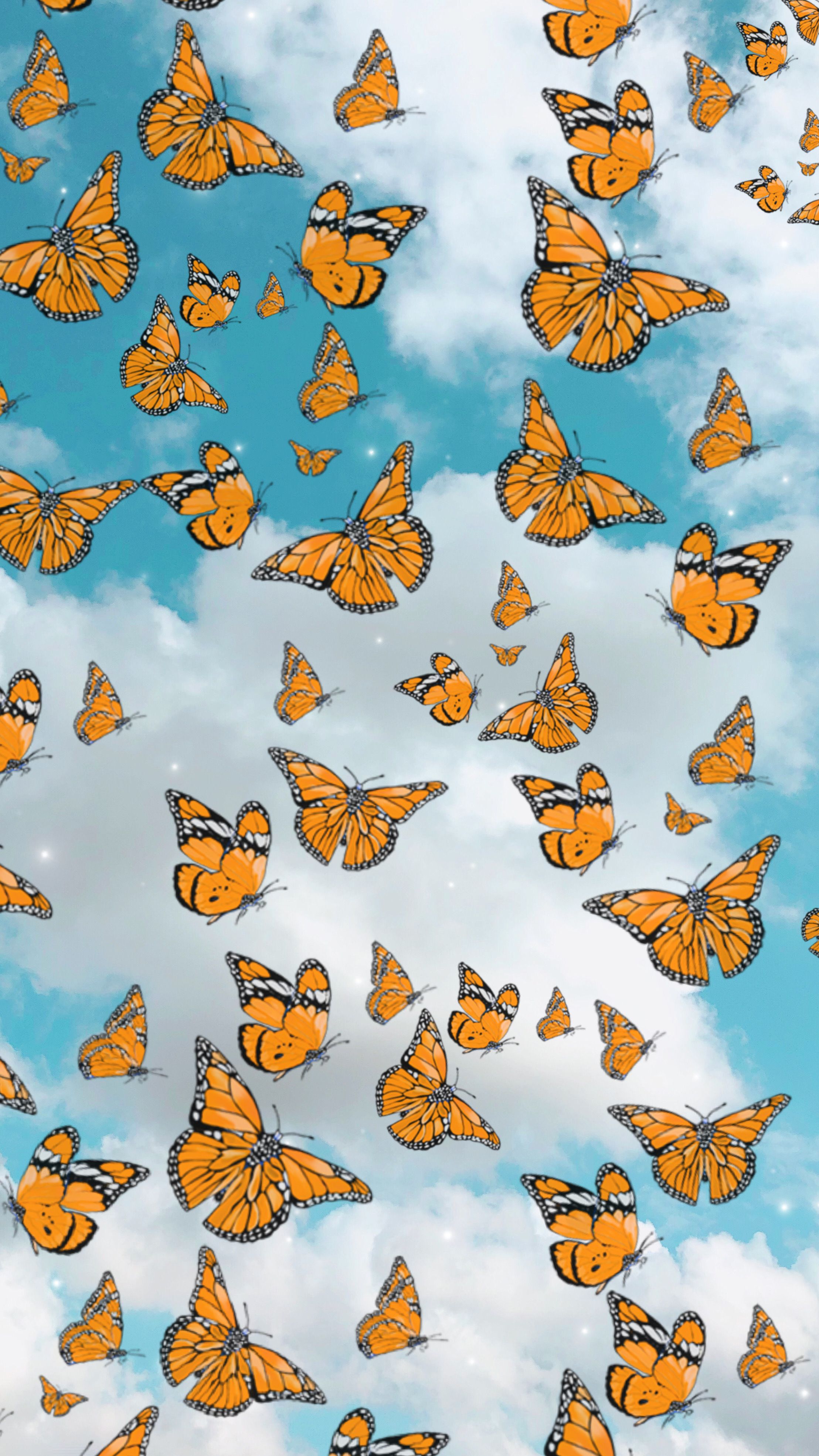 Orange Butterfly Iphone Wallpapers
