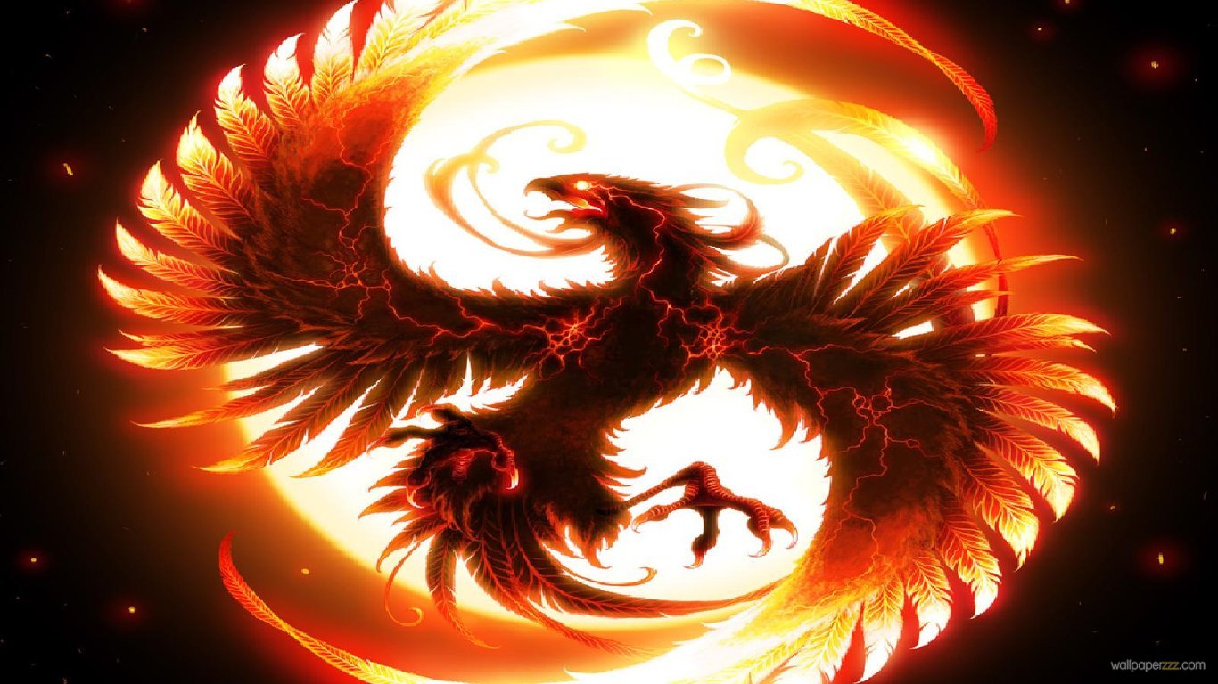 Orange Dragon Wallpapers