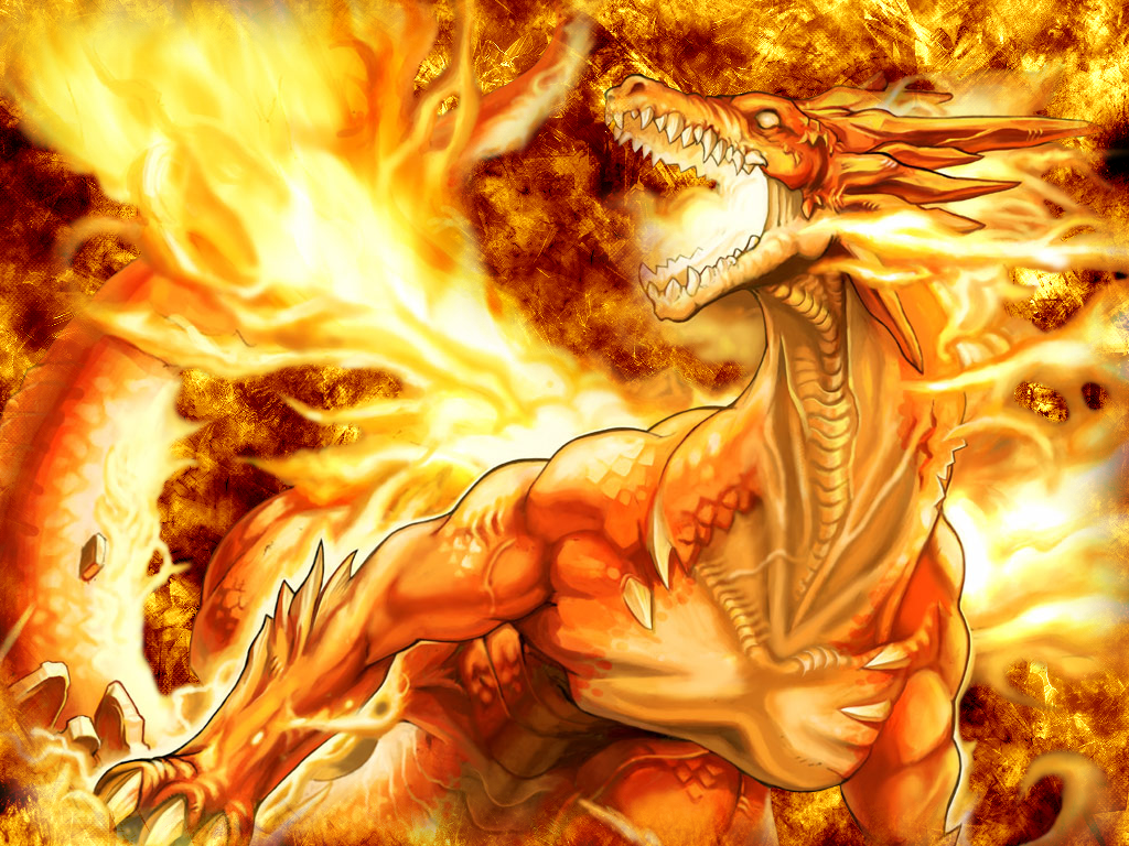 Orange Dragon Wallpapers