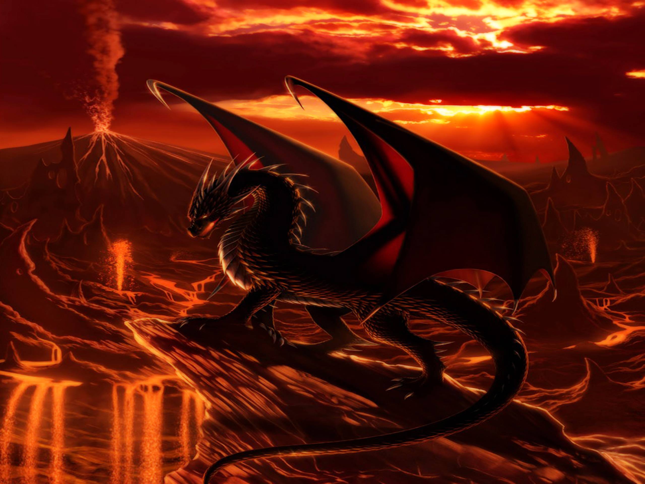 Orange Dragon Wallpapers