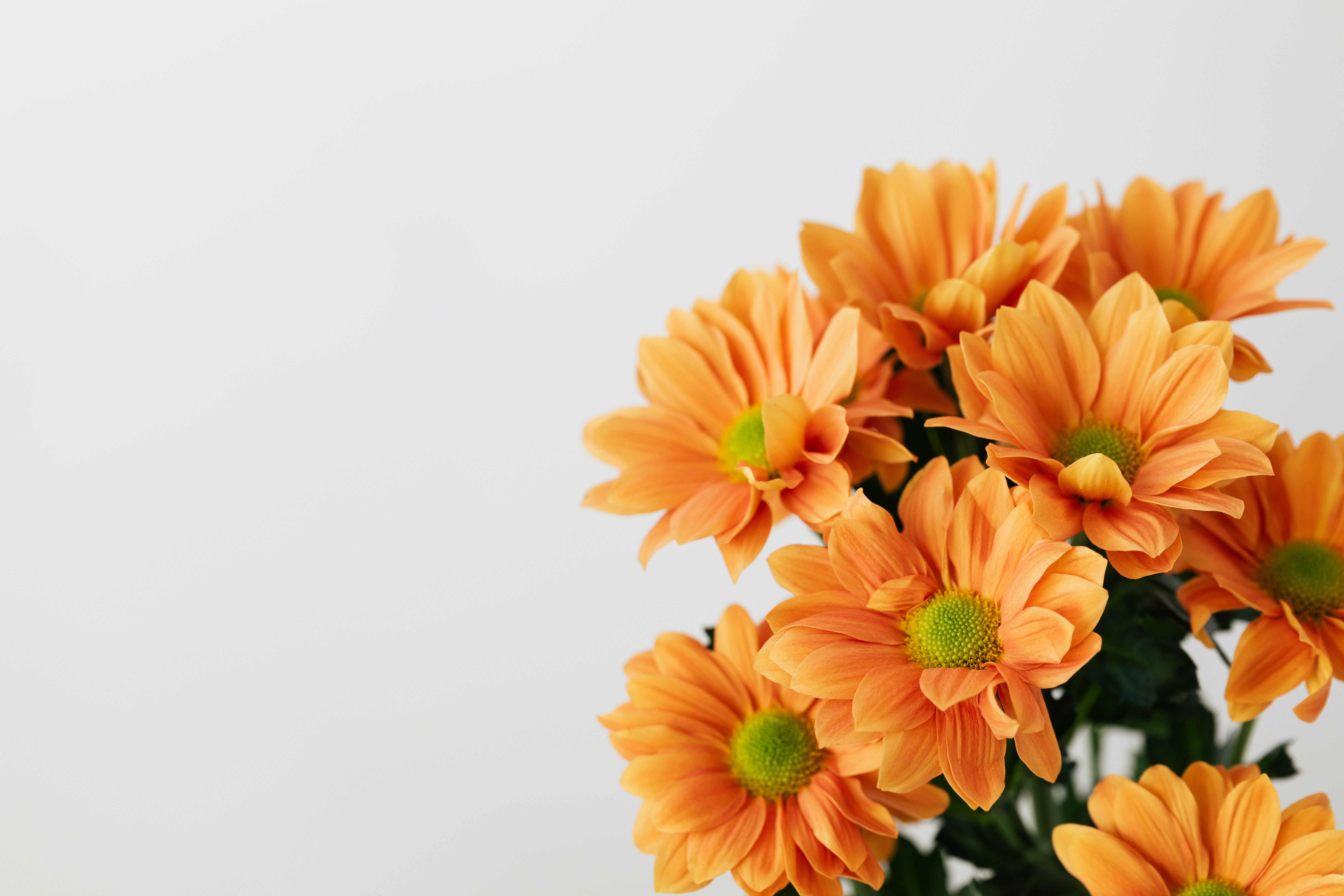 Orange Floral Wallpapers