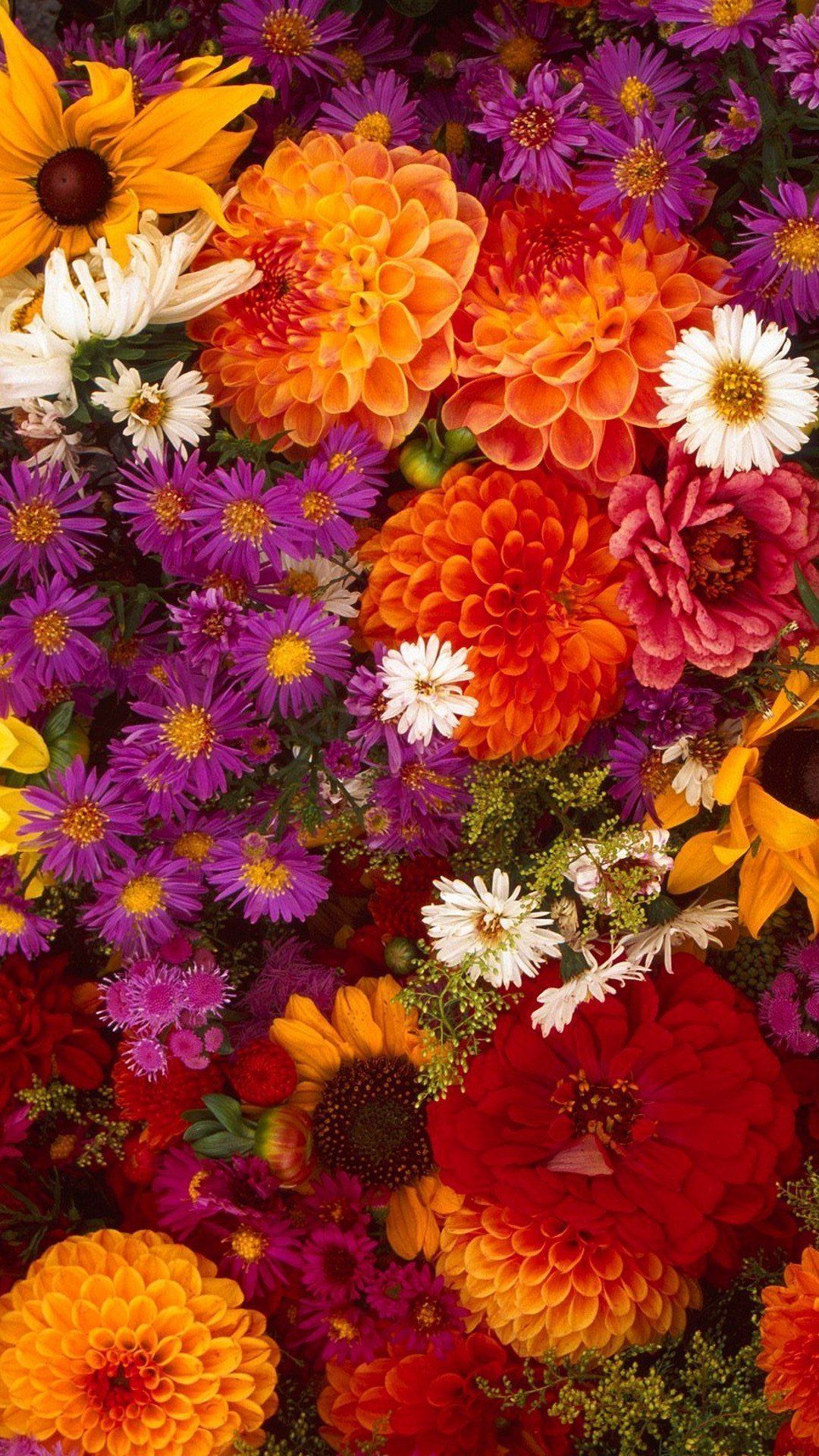 Orange Floral Wallpapers