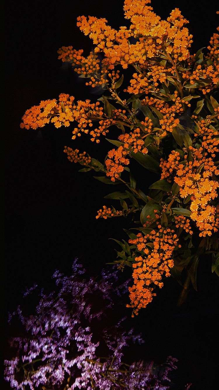 Orange Floral Wallpapers