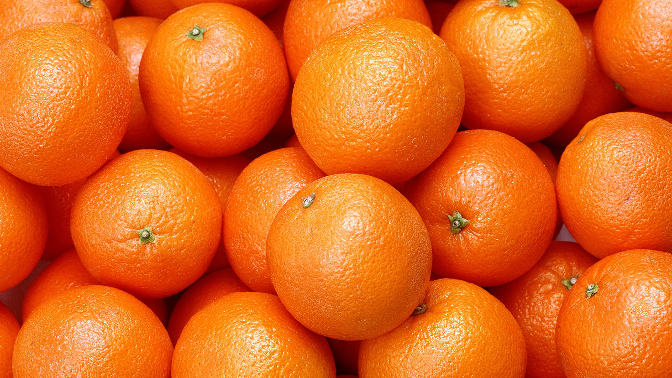 Orange Fruit Wallpapers