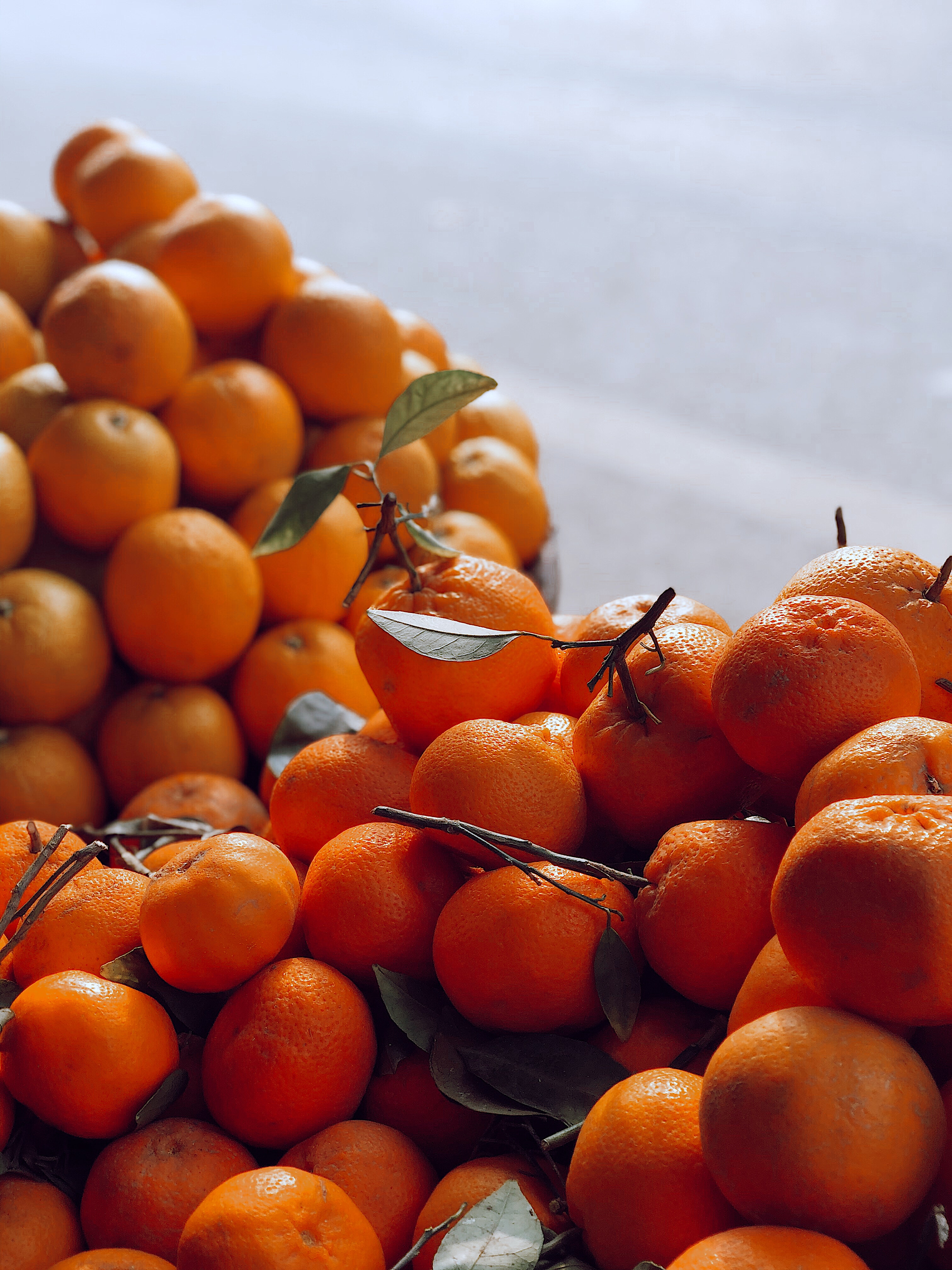 Orange Fruit Wallpapers