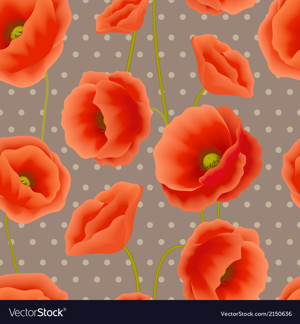 Orange Poppy Wallpapers