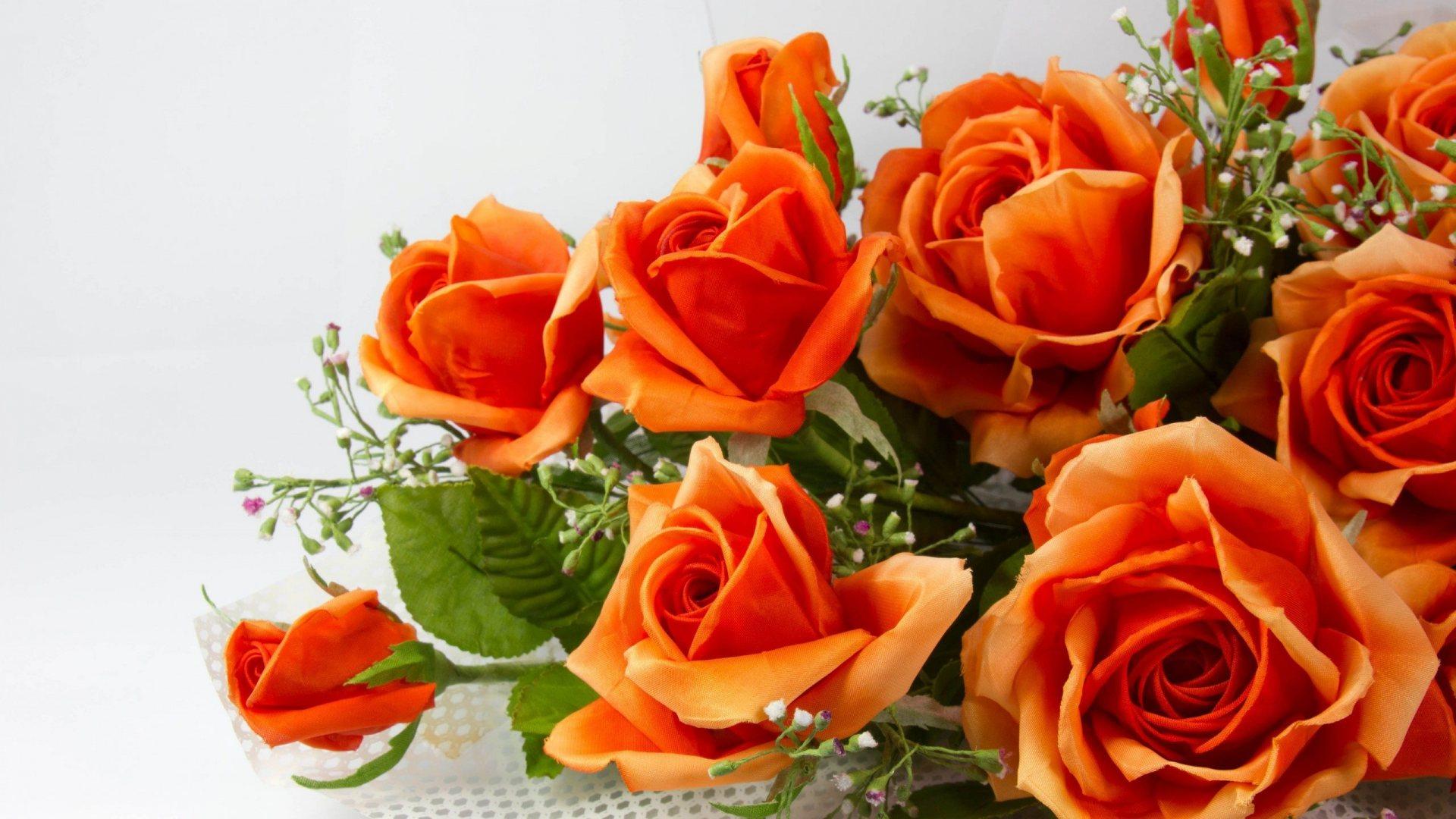 Orange Roses Desktop Wallpapers