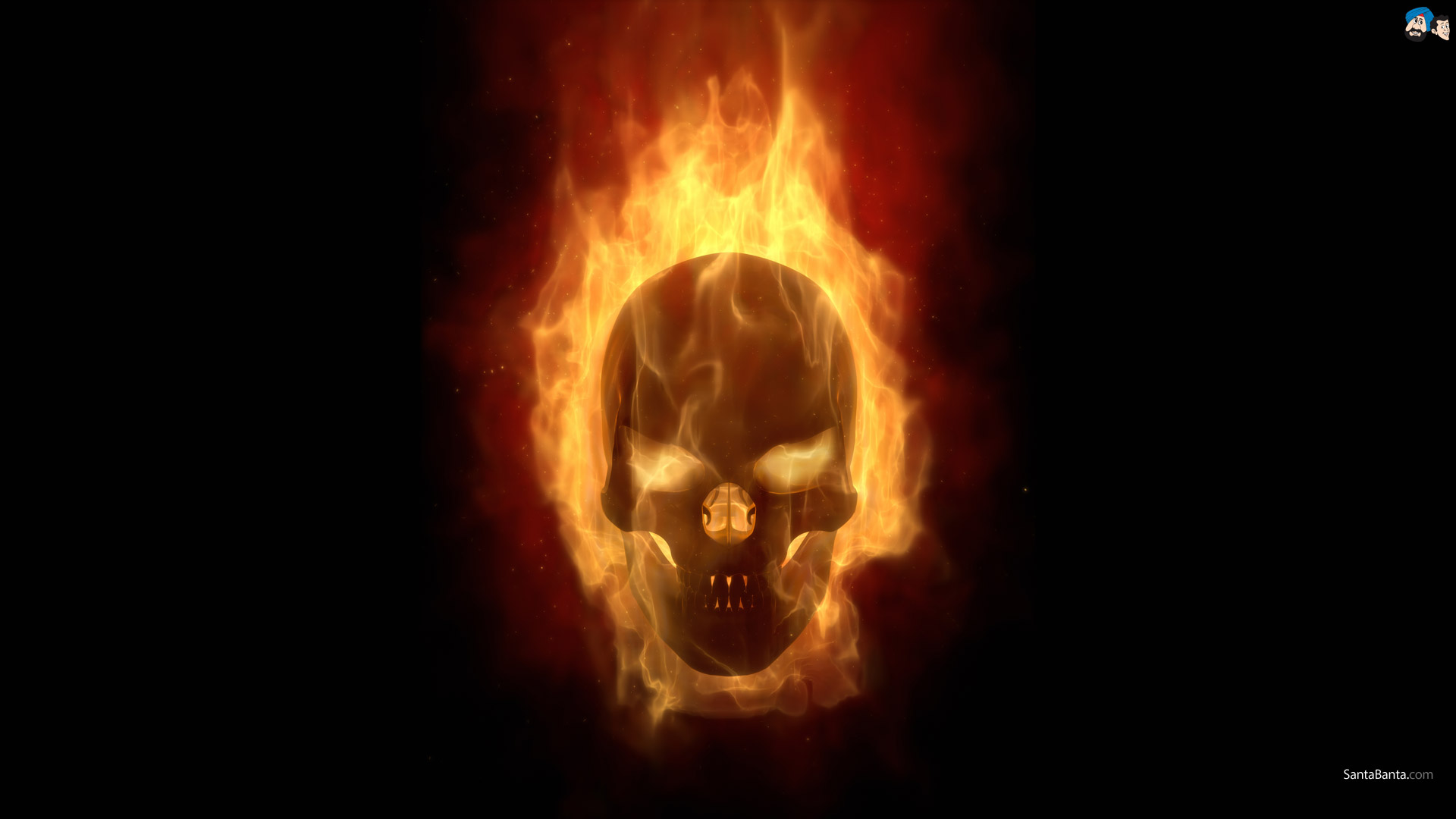 Orange Skull Wallpapers